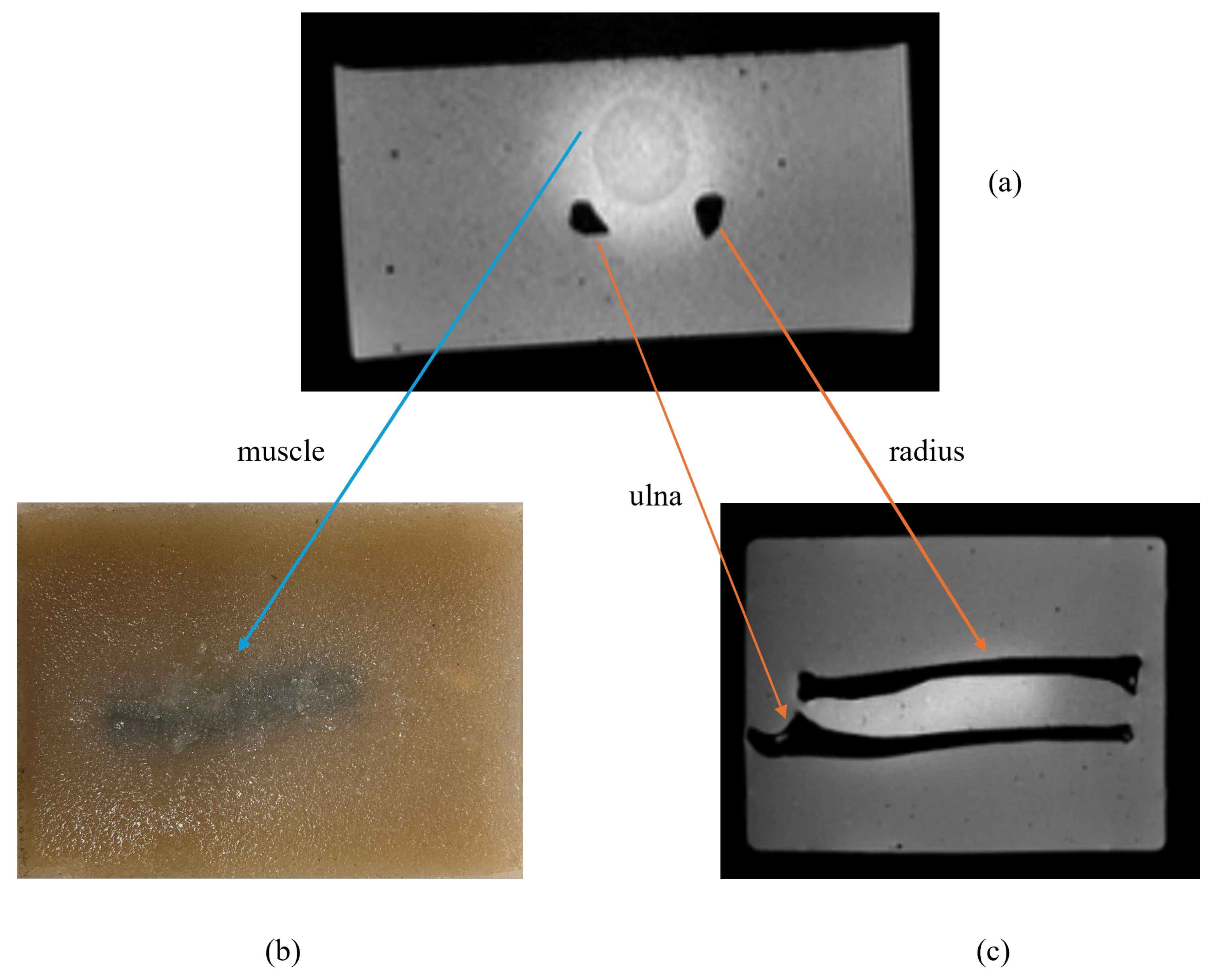 Technologies 13 00070 g005