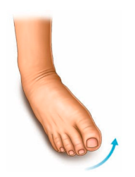 Technologies 13 00098 i003