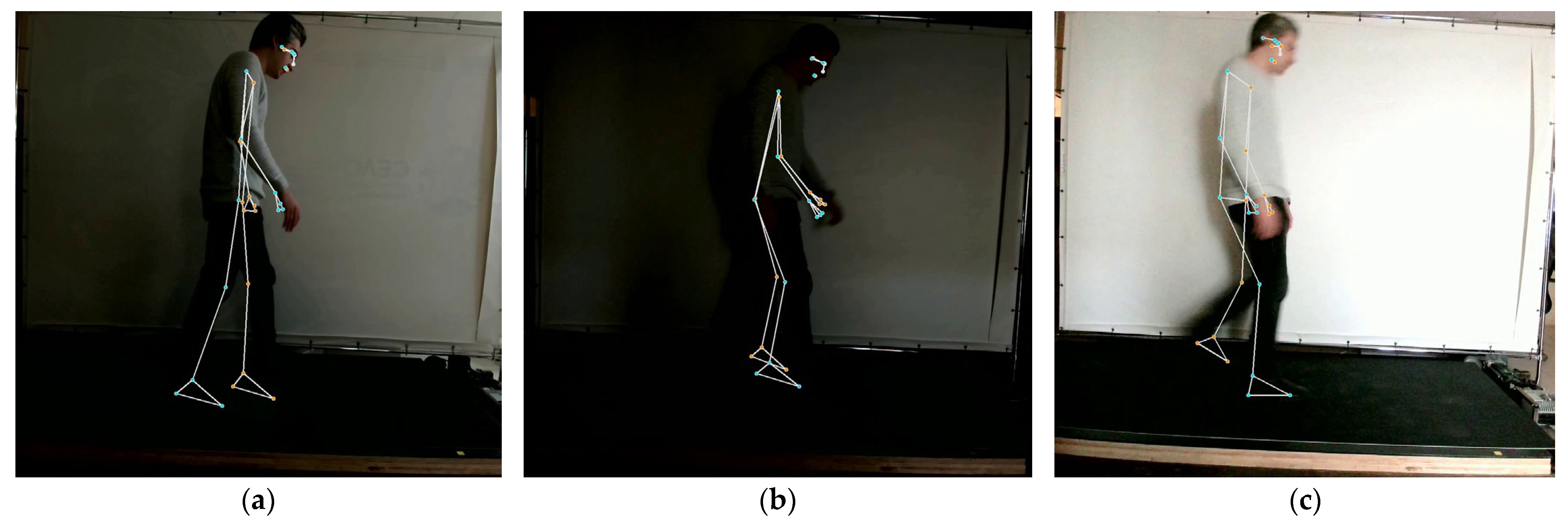 Technologies 13 00101 g010