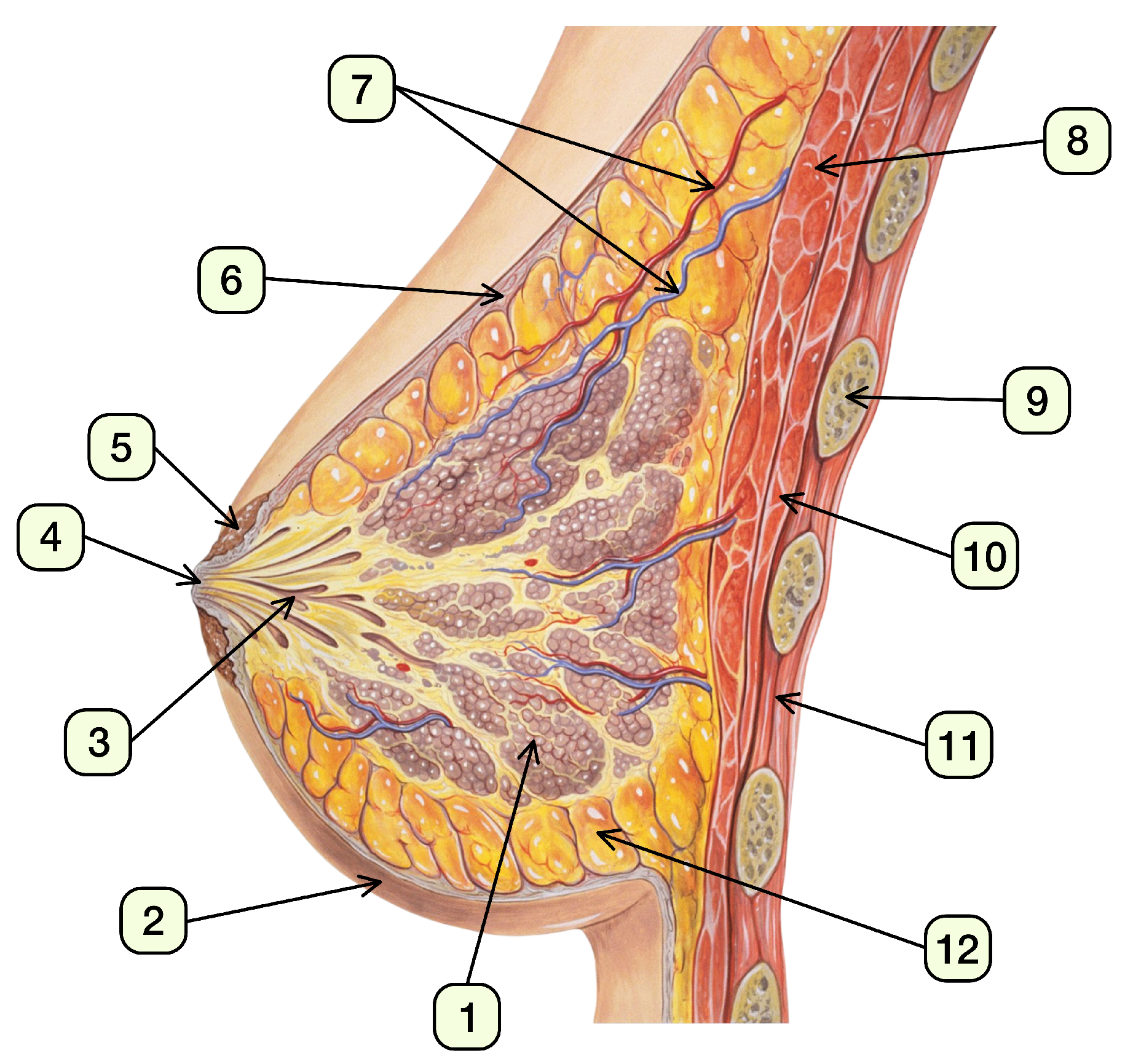 Technologies 13 00106 g002