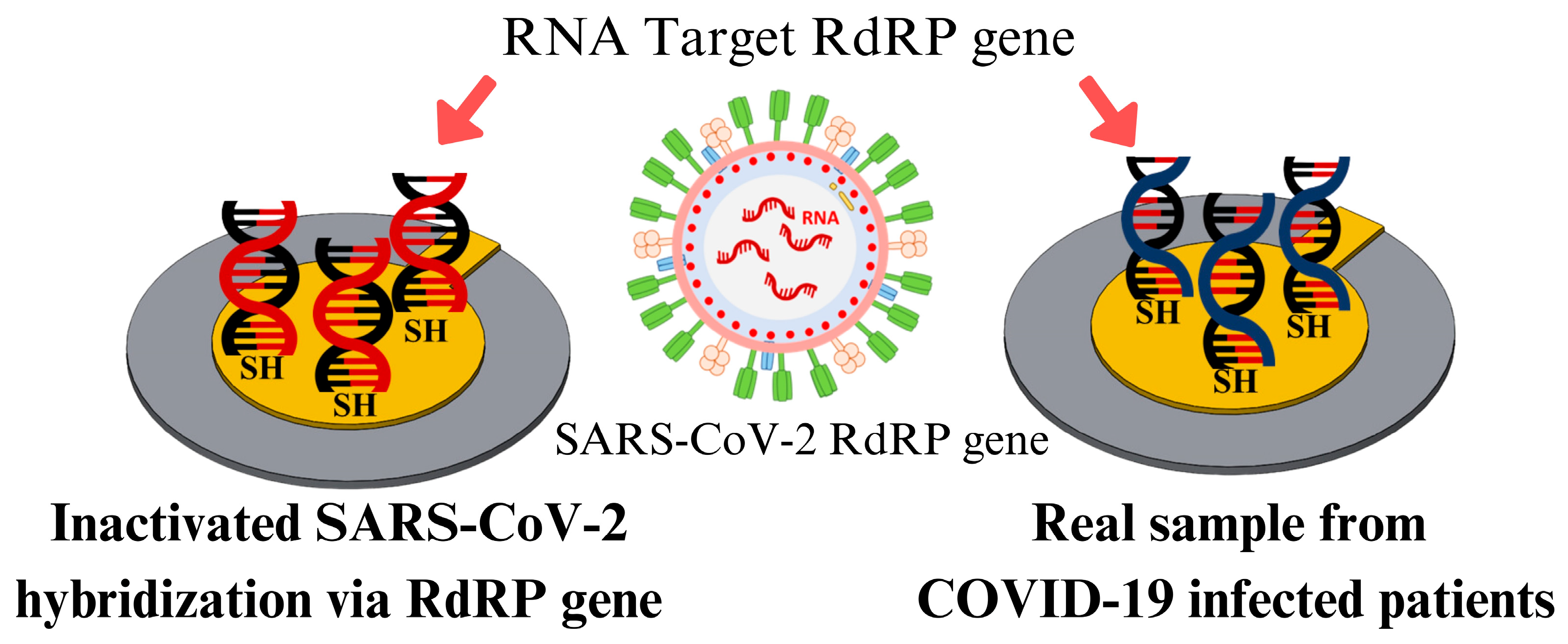 Technologies 13 00114 g012a