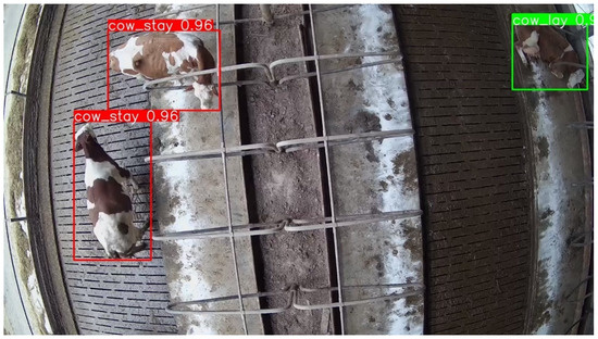 Cattle Vision Examples Implementation of Machine Vision Methods for Cattle Detection and ...