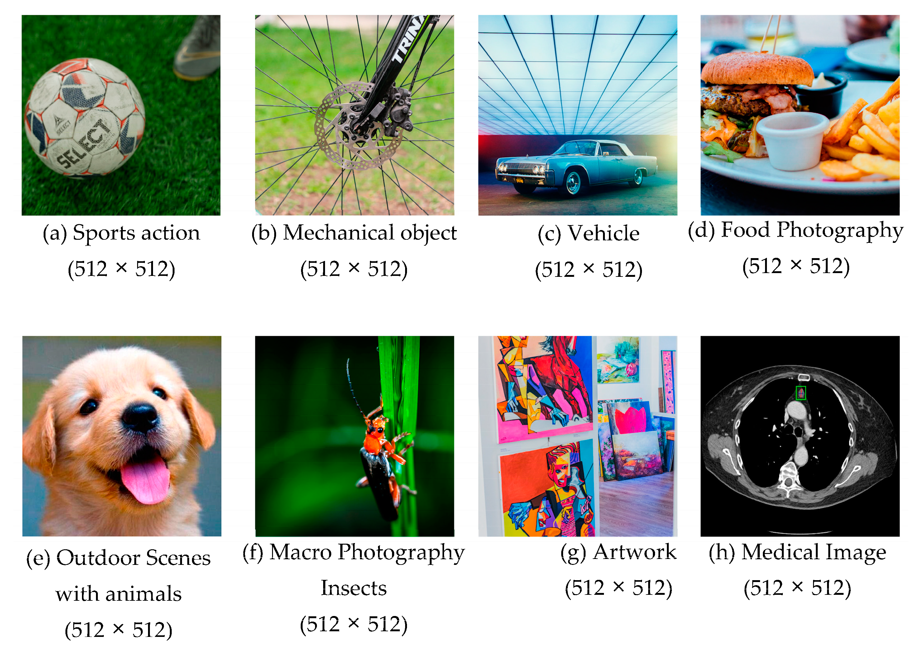 Technologies 13 00123 g022