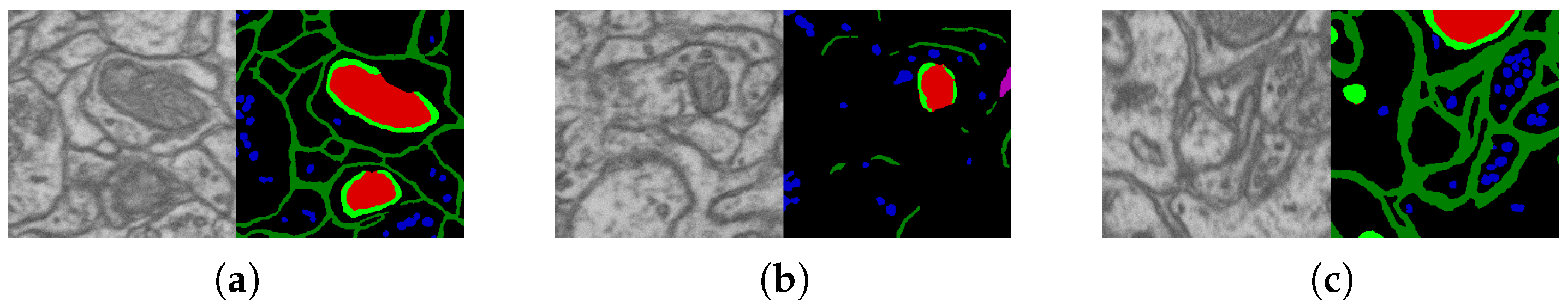 Technologies 13 00127 g006