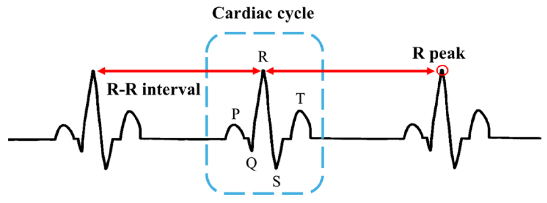 Technologies 13 00128 g001