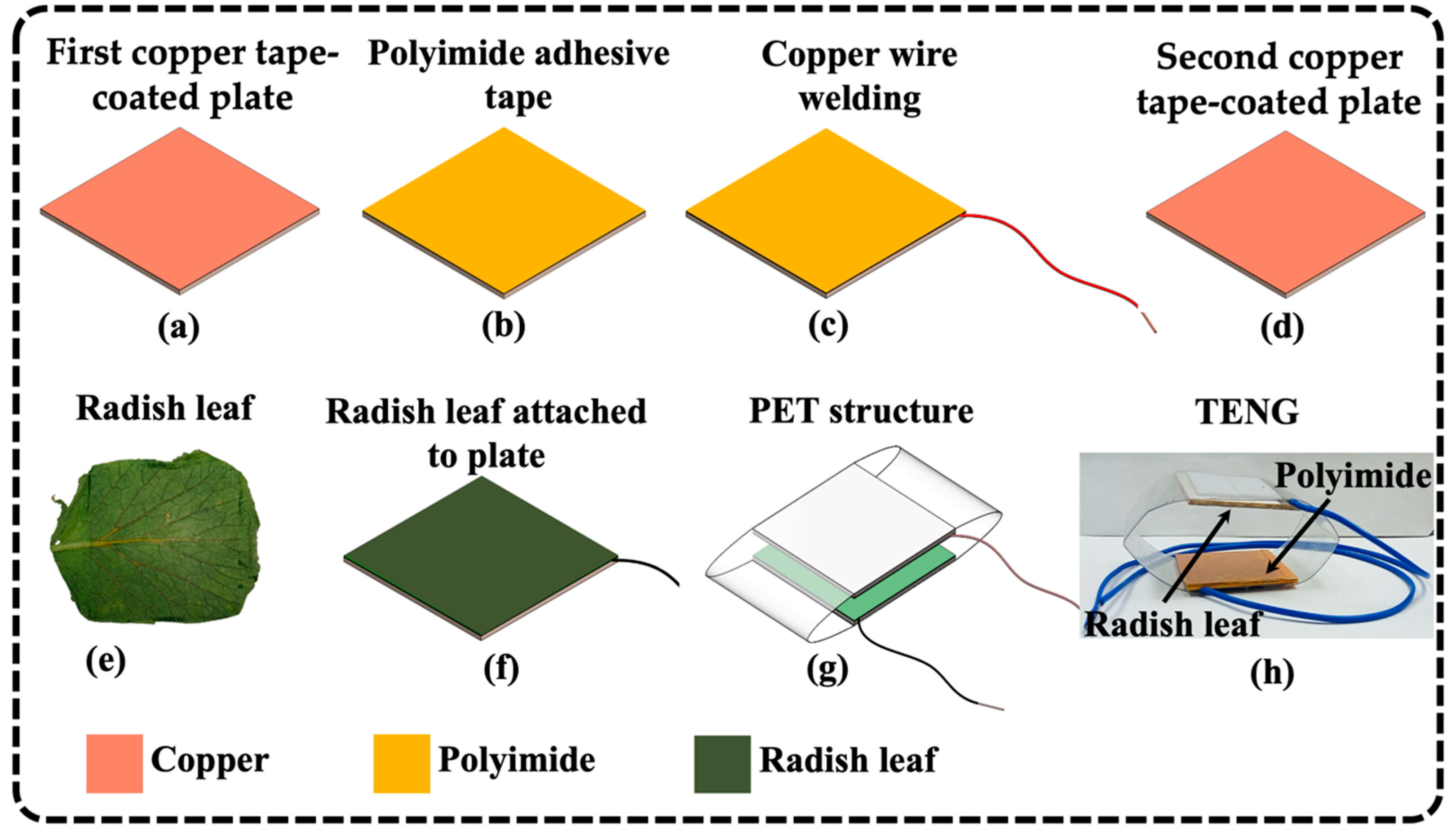 Technologies 13 00188 g002