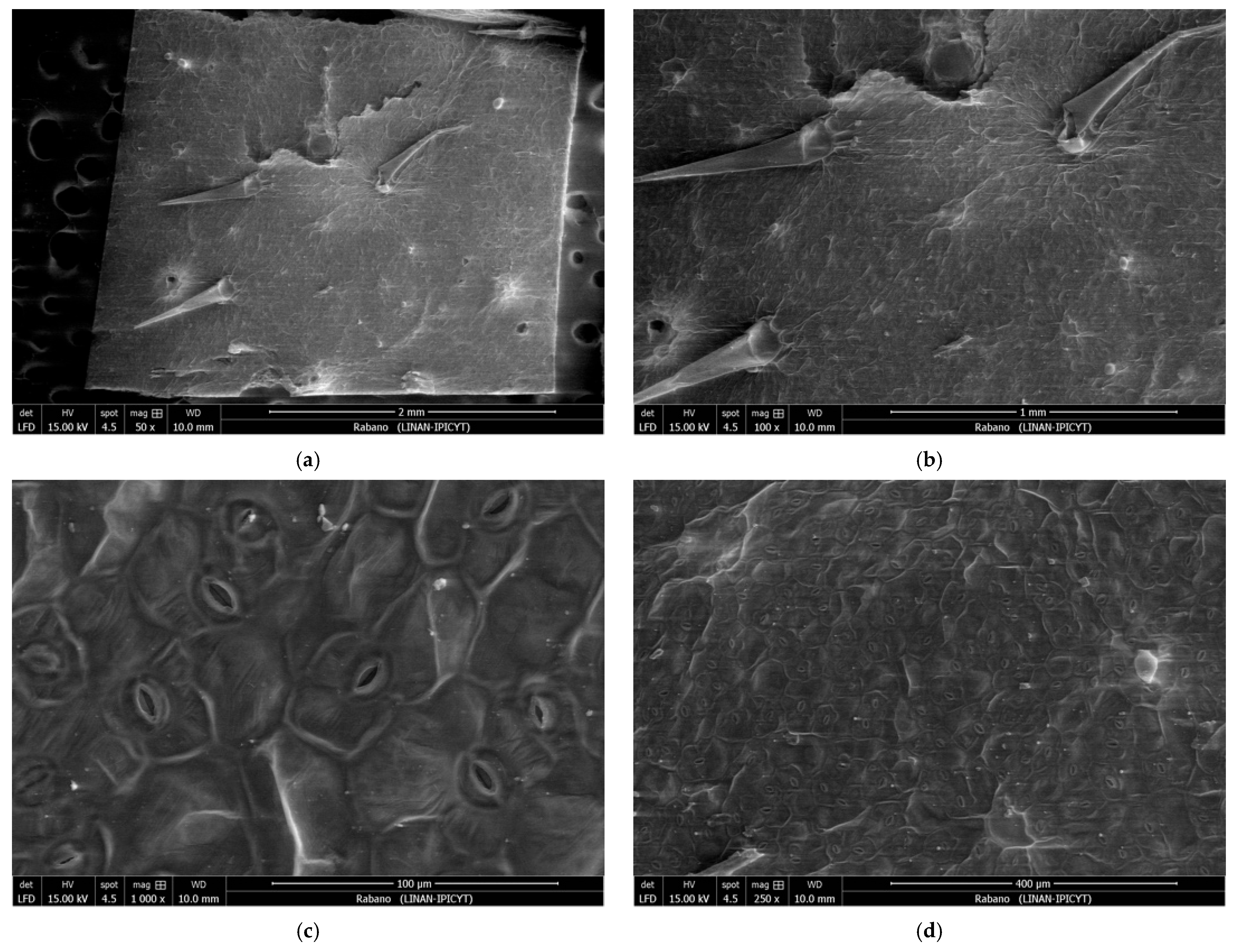 Technologies 13 00188 g005