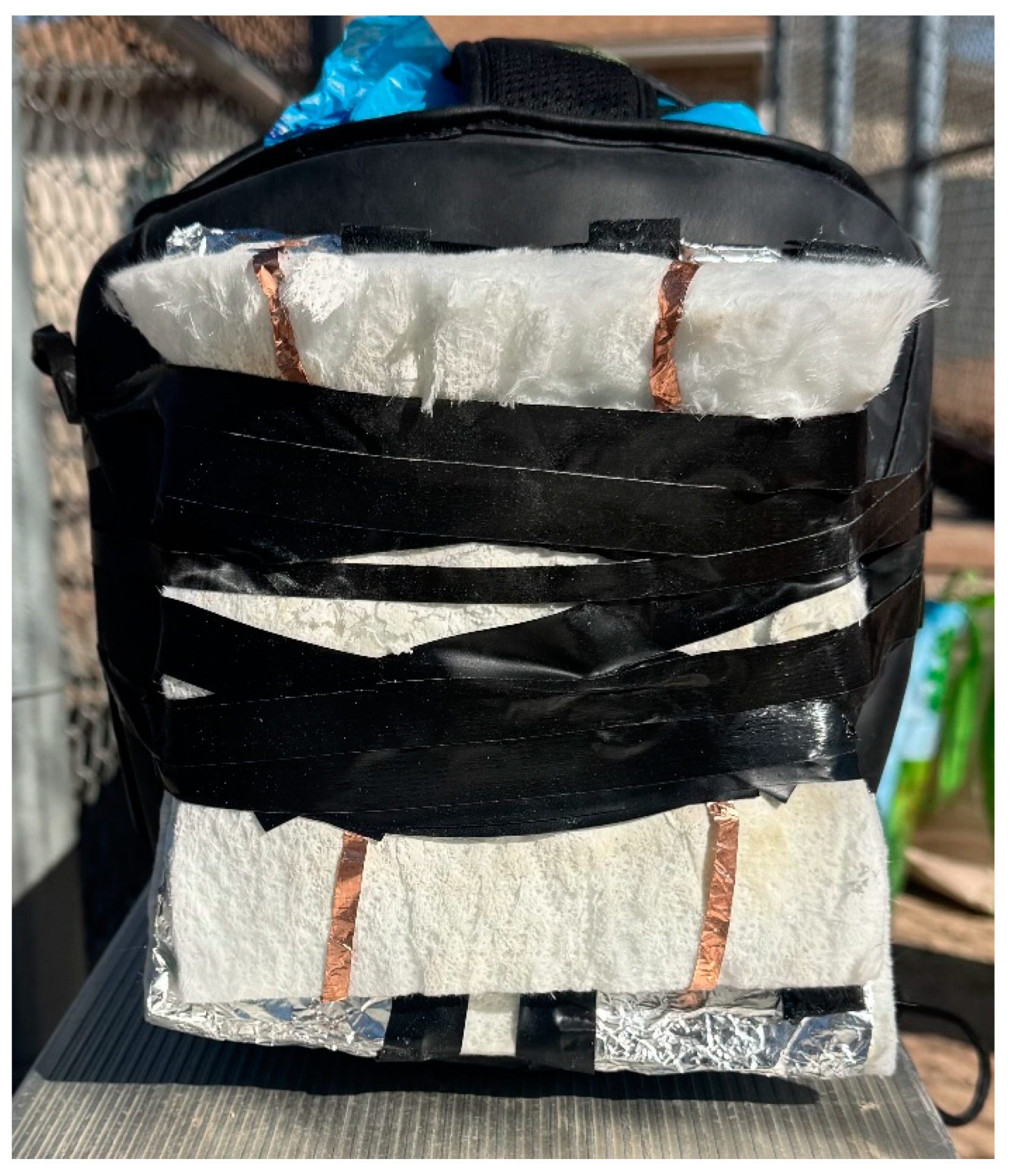 Technologies 13 00199 g003