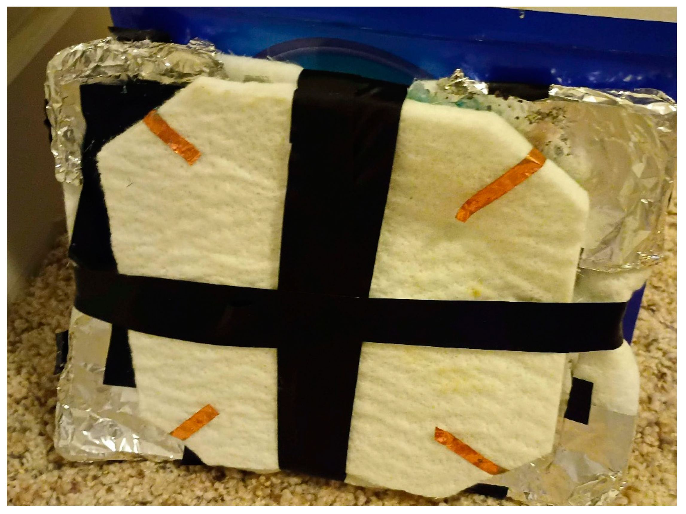 Technologies 13 00199 g005