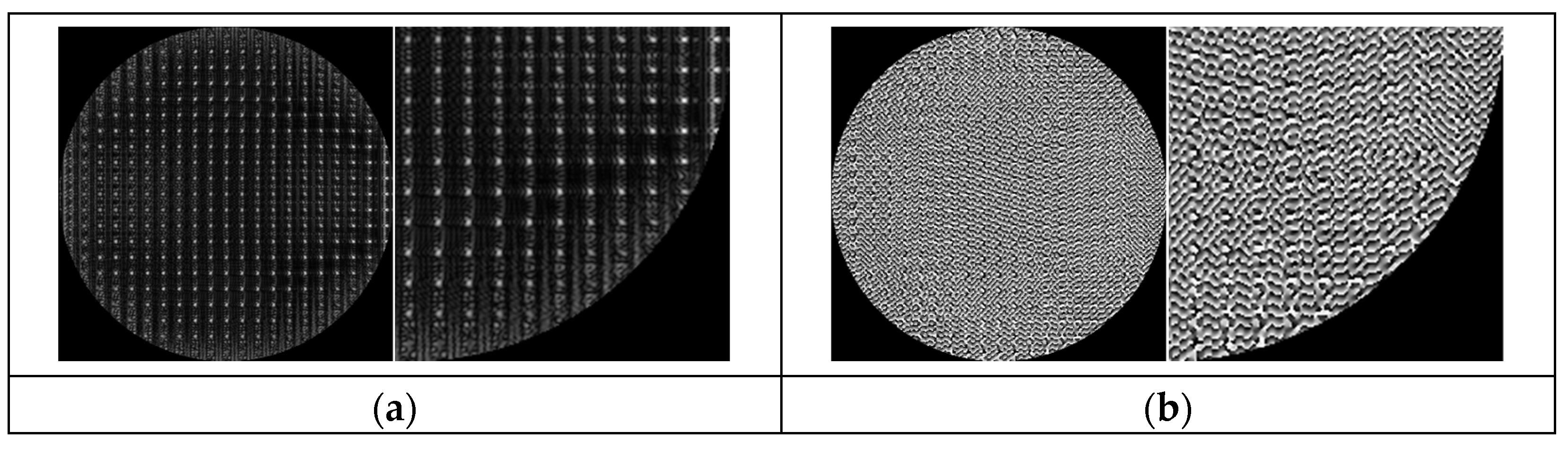 Technologies 13 00212 g002
