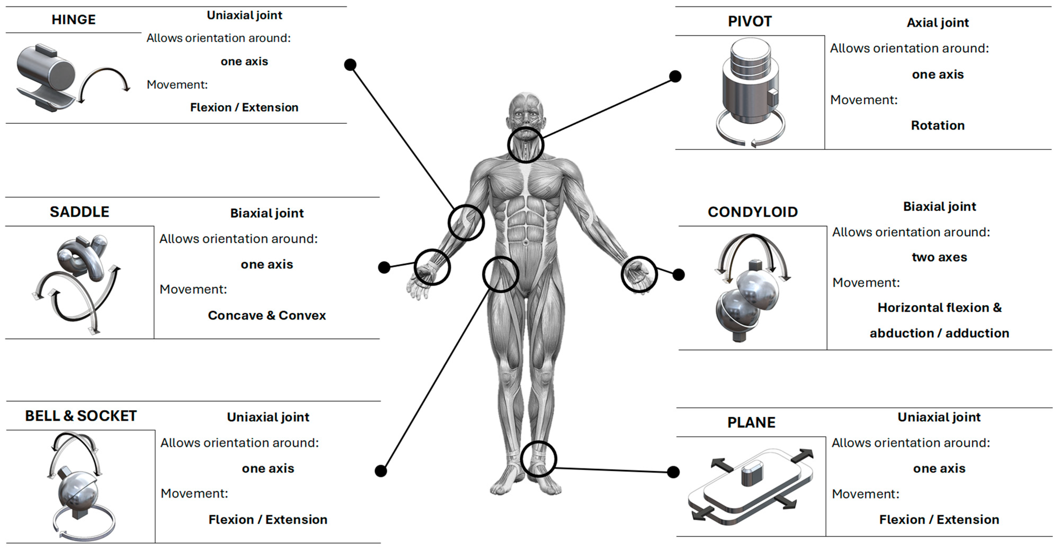 Technologies 13 00292 g001