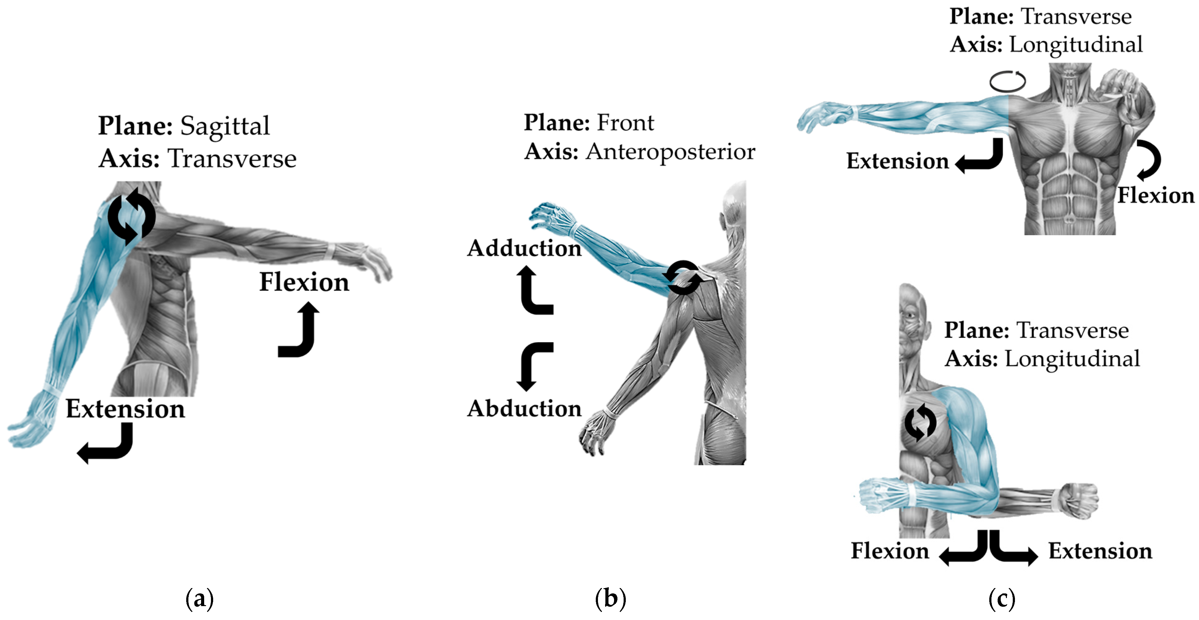 Technologies 13 00292 g004