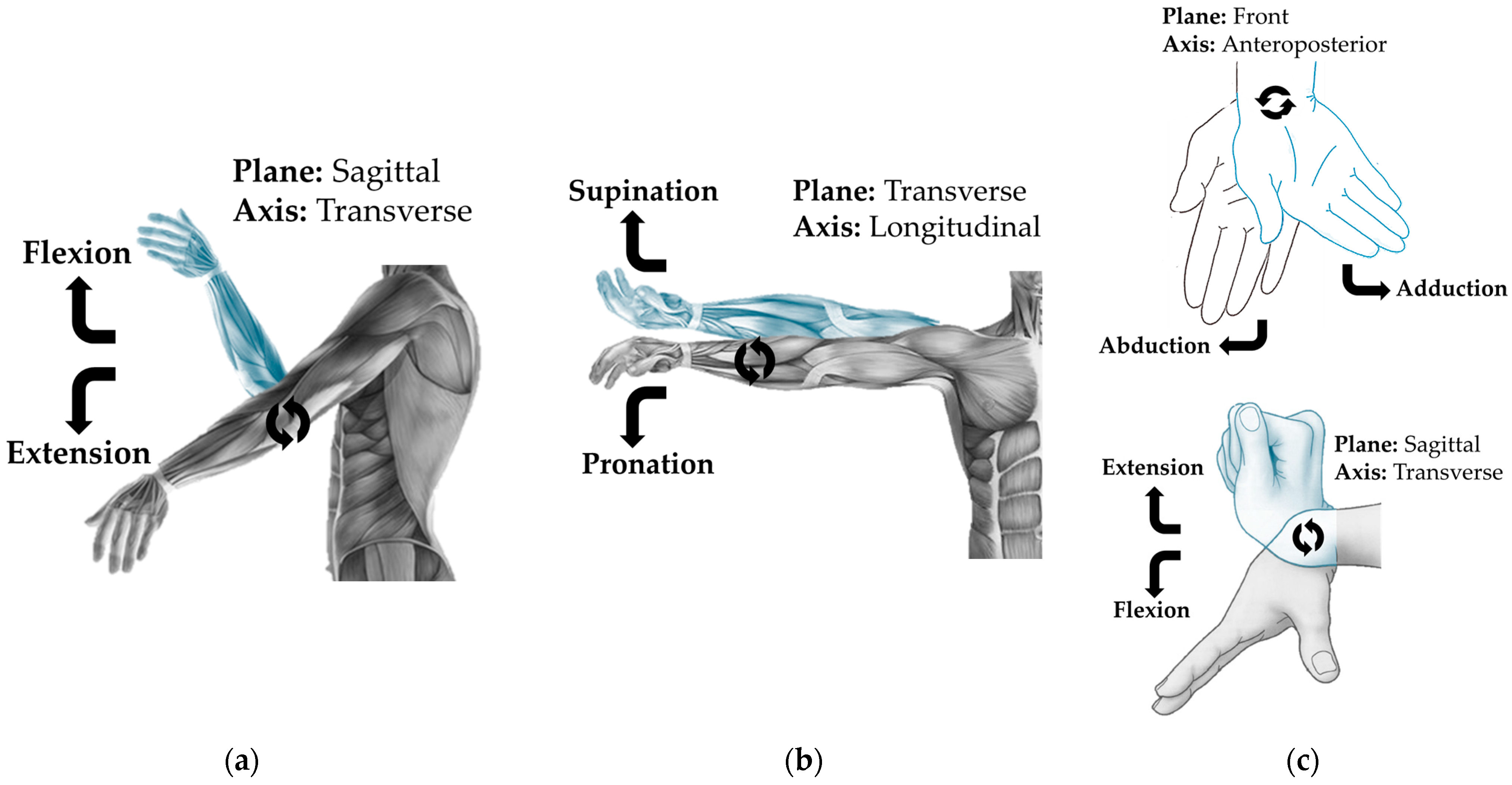 Technologies 13 00292 g005