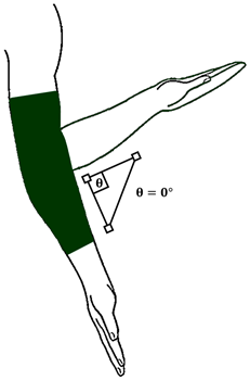 Technologies 13 00292 i006