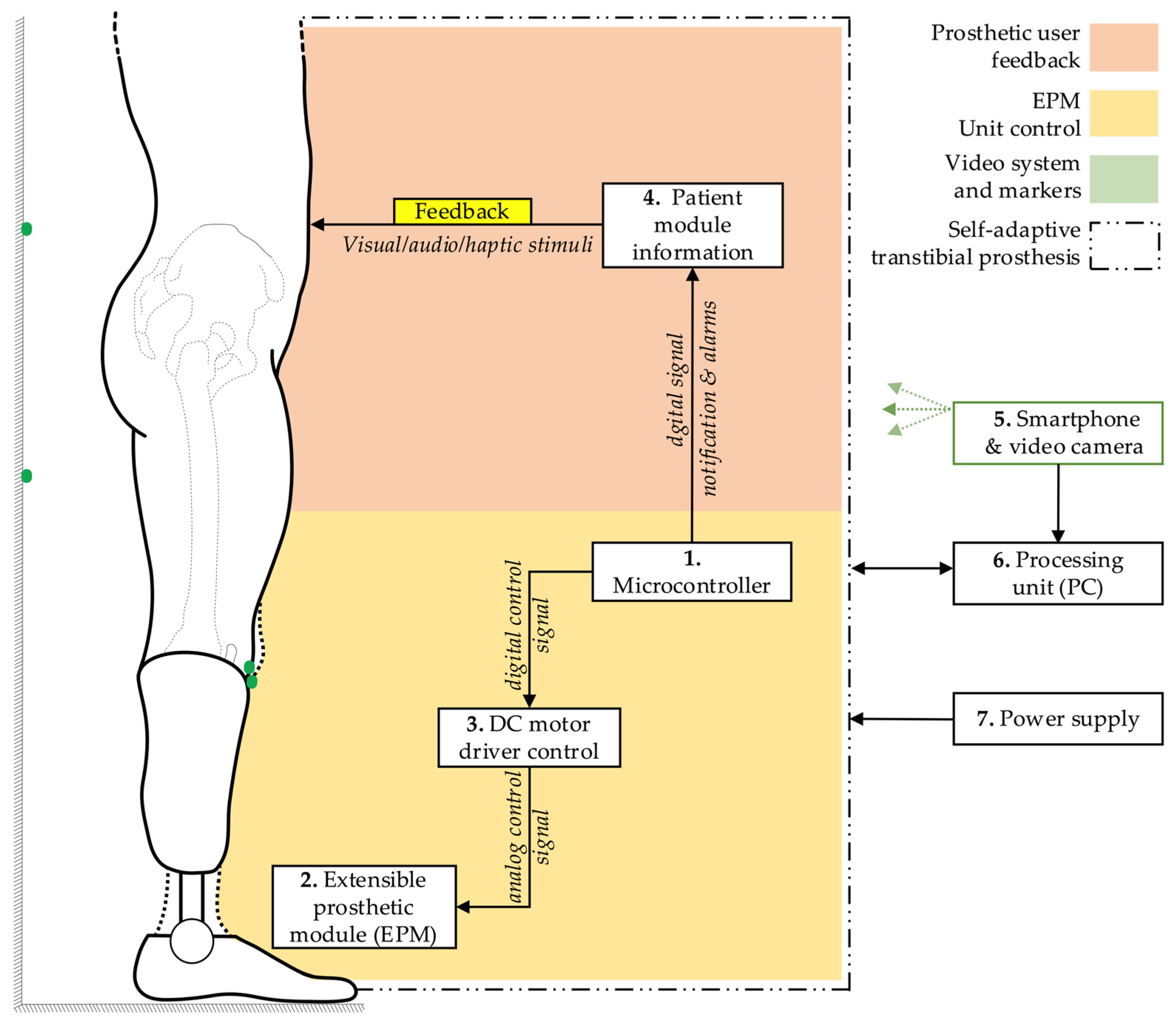 Technologies 13 00319 g003