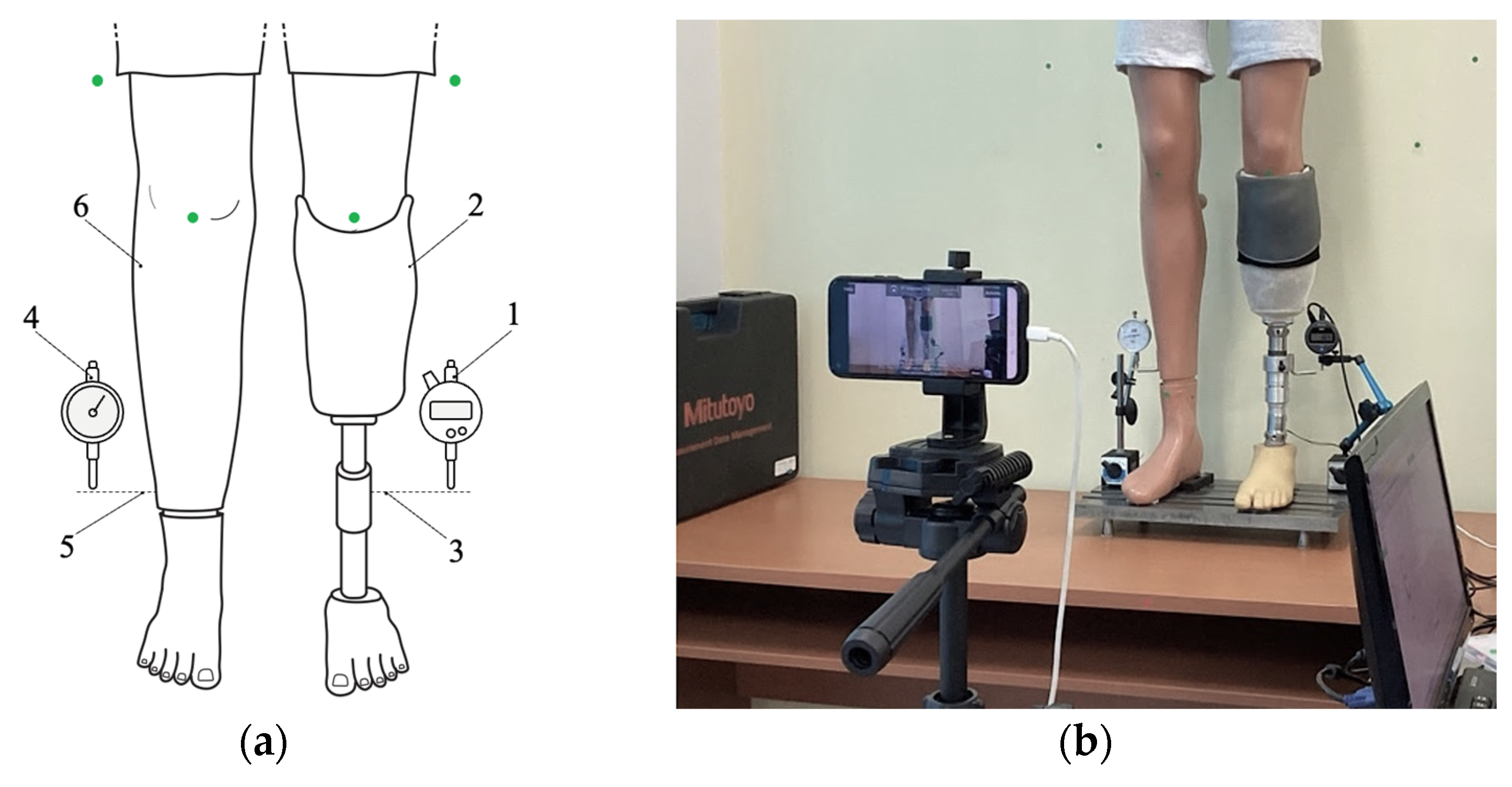 Technologies 13 00319 g010