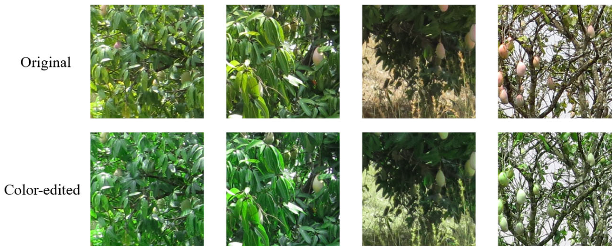 Technologies 13 00372 g003