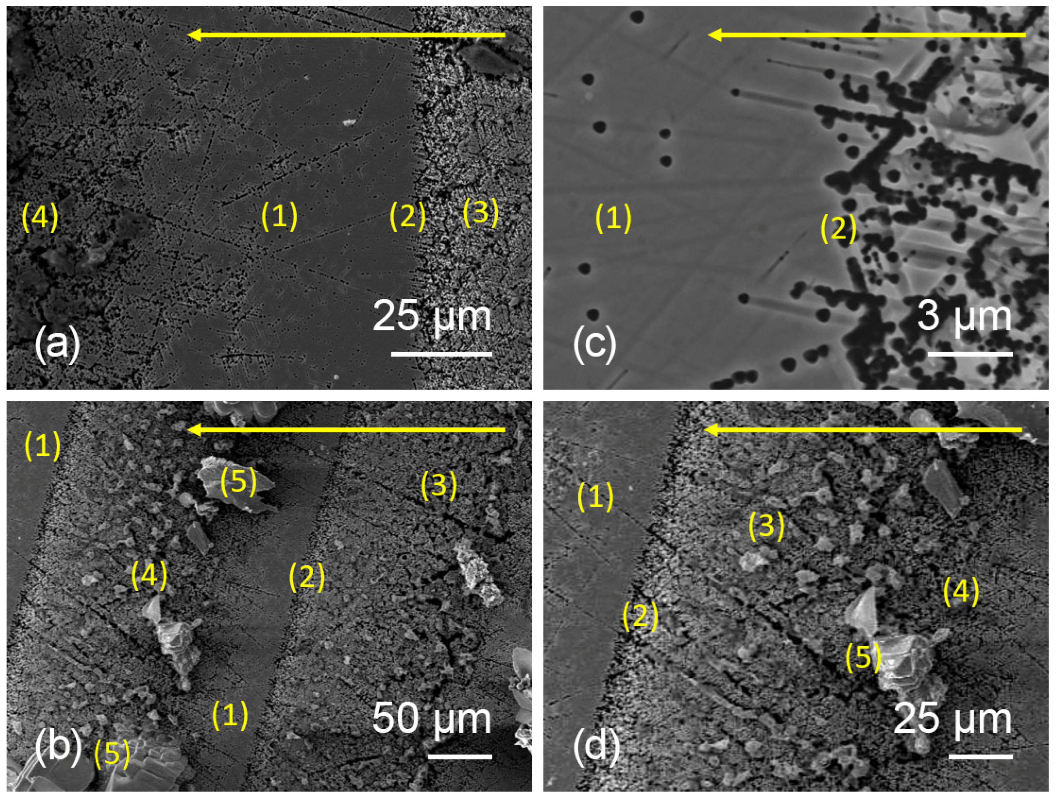 Technologies 13 00395 g002