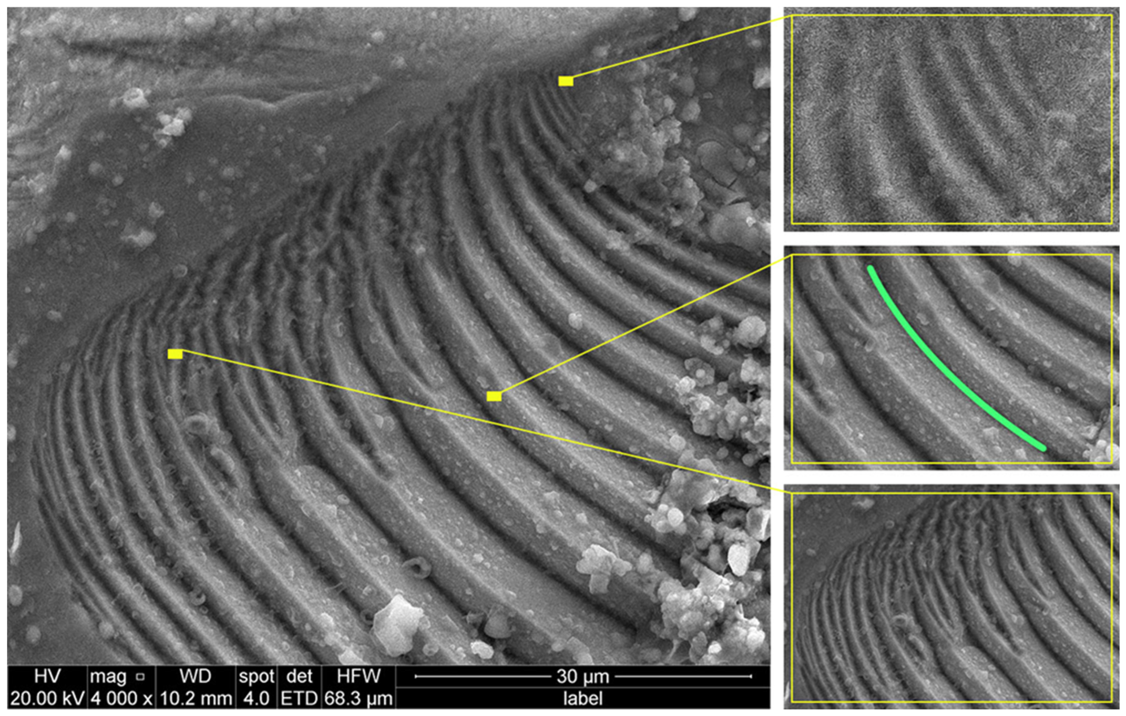 Technologies 13 00395 g003