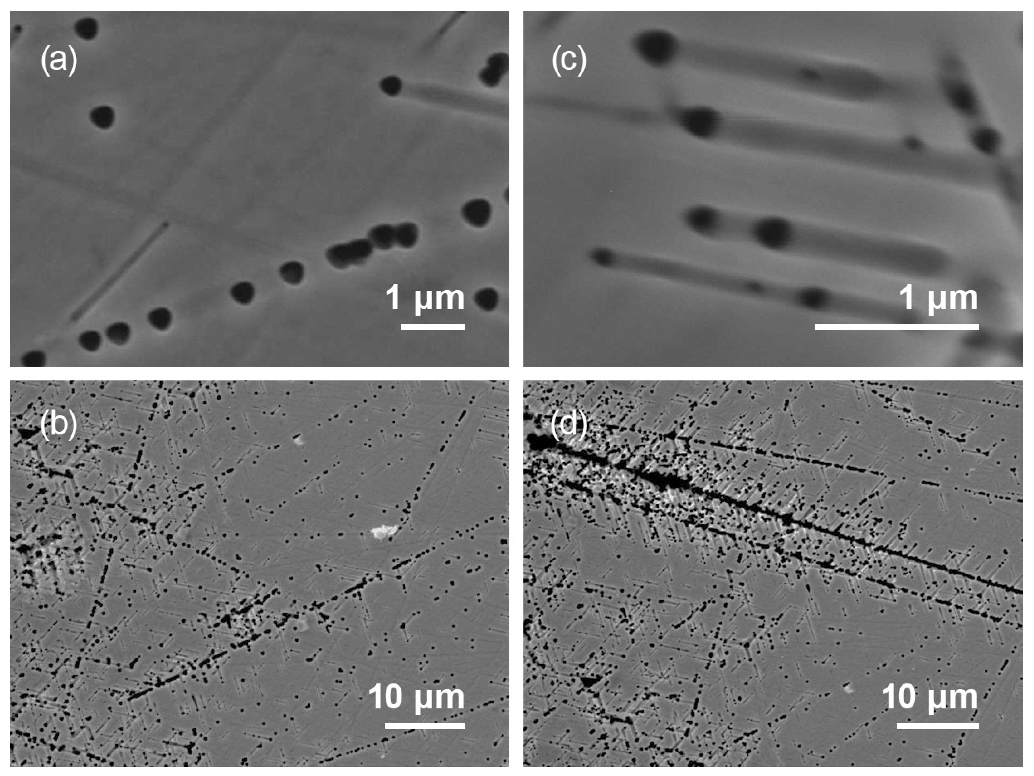 Technologies 13 00395 g005