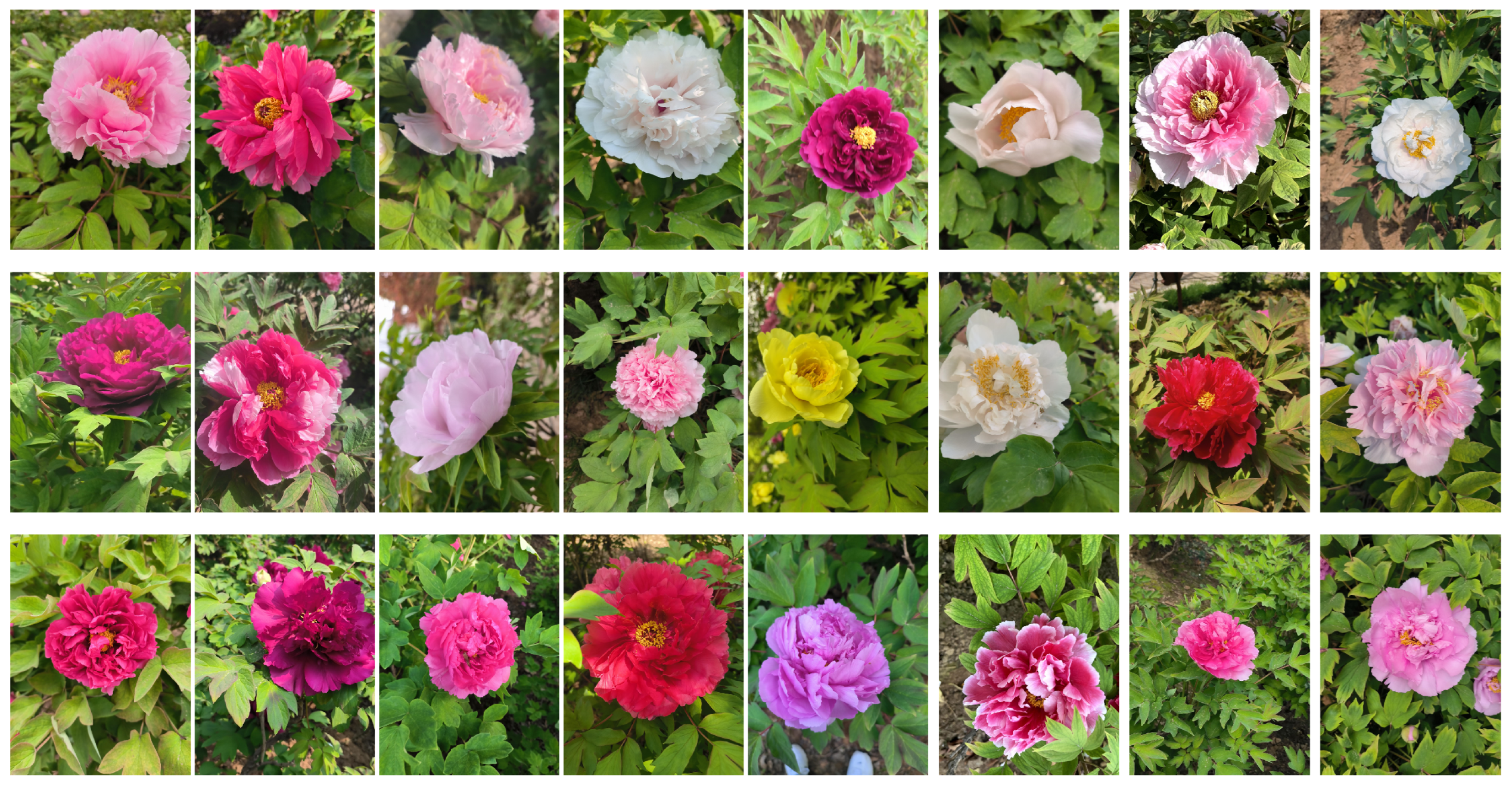 Technologies 13 00414 g001