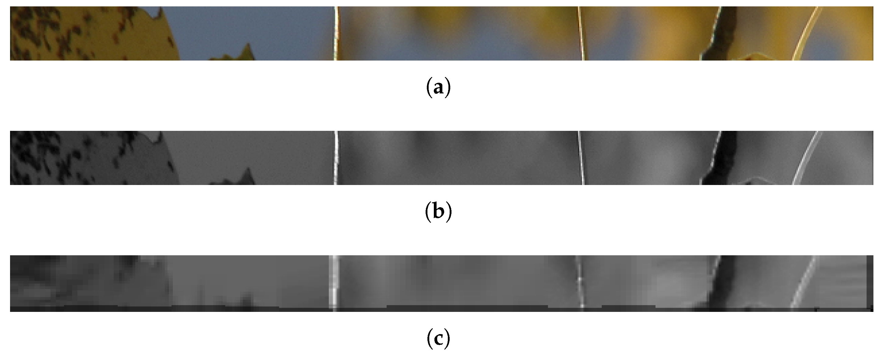 Technologies 13 00433 g009