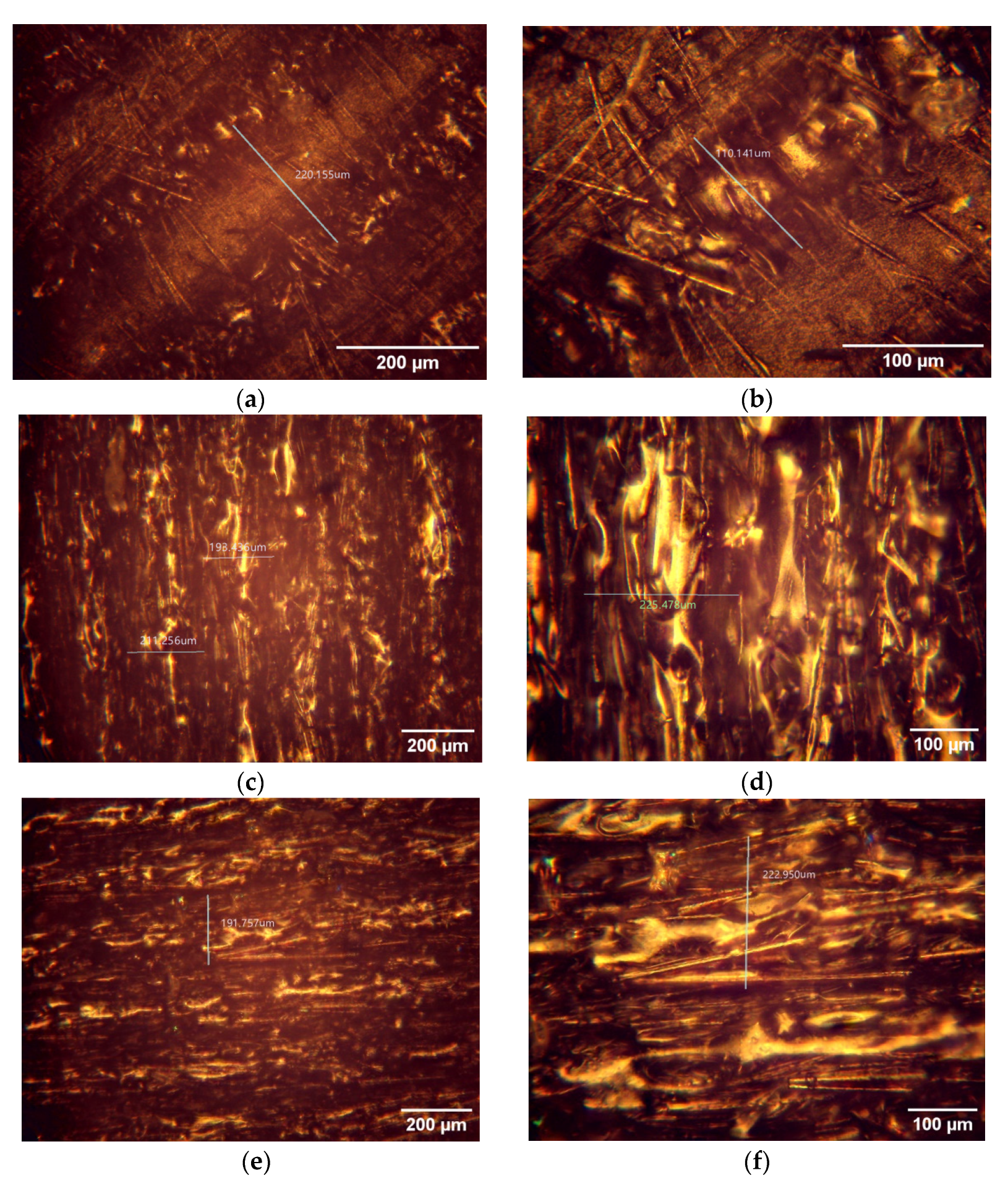 Technologies 13 00456 g003 Technologies 13 00456 g003