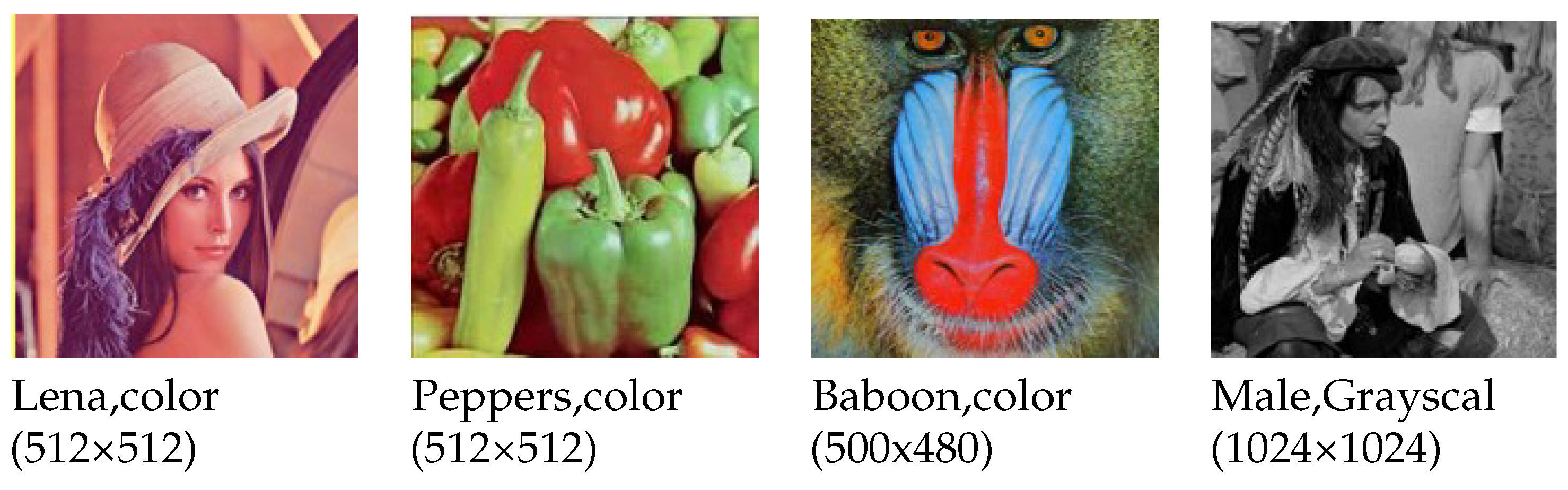 Technologies 13 00460 g006