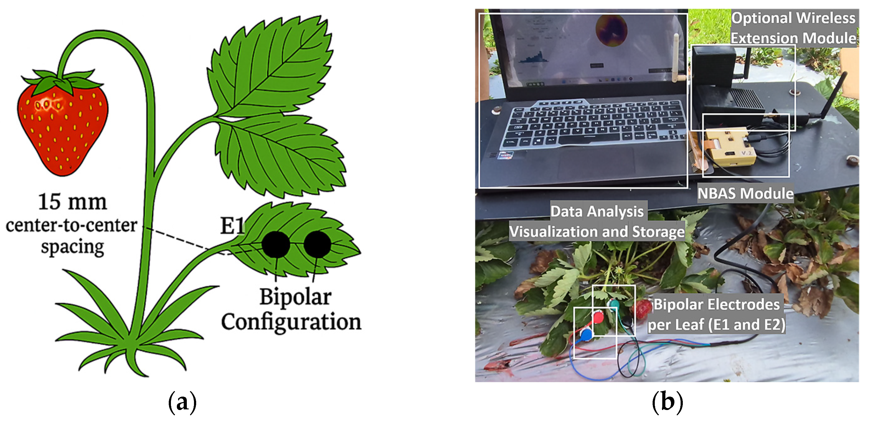 Technologies 13 00496 g004 Technologies 13 00496 g004