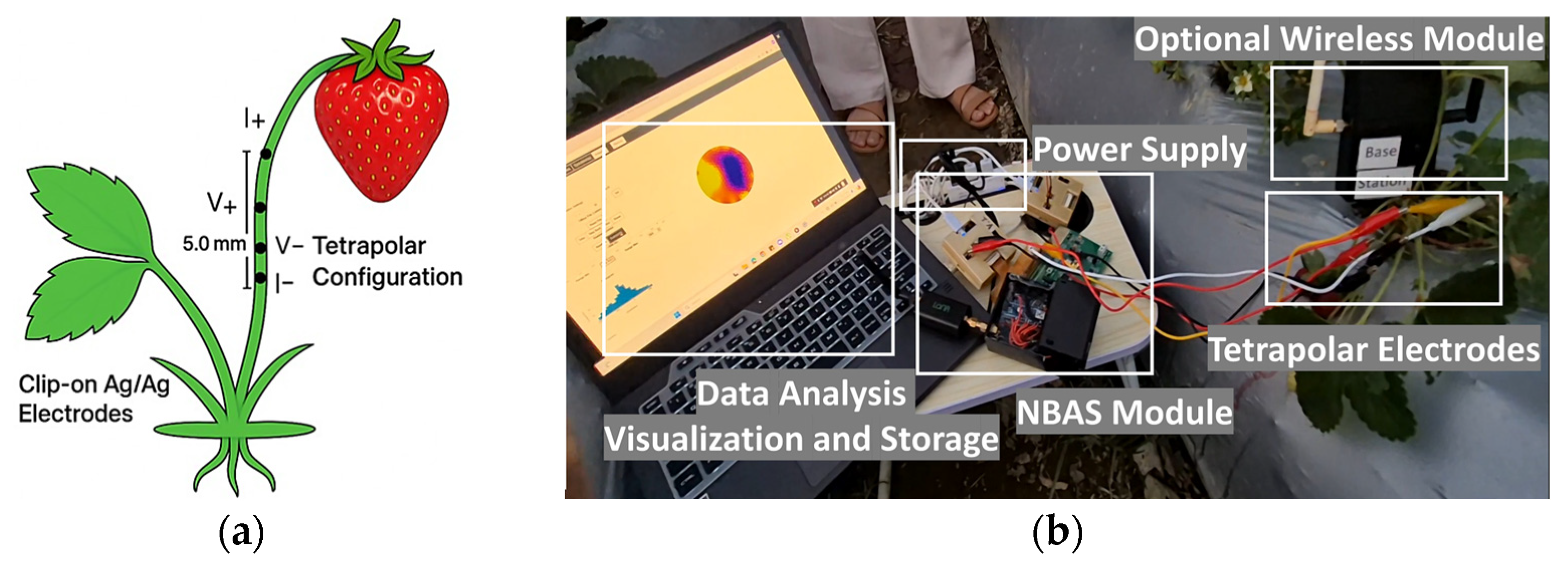Technologies 13 00496 g006 Technologies 13 00496 g006