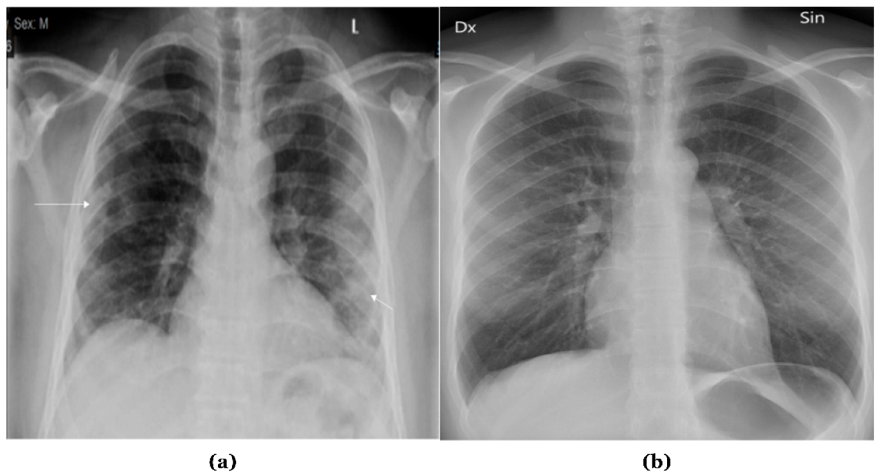 Technologies 13 00517 g001