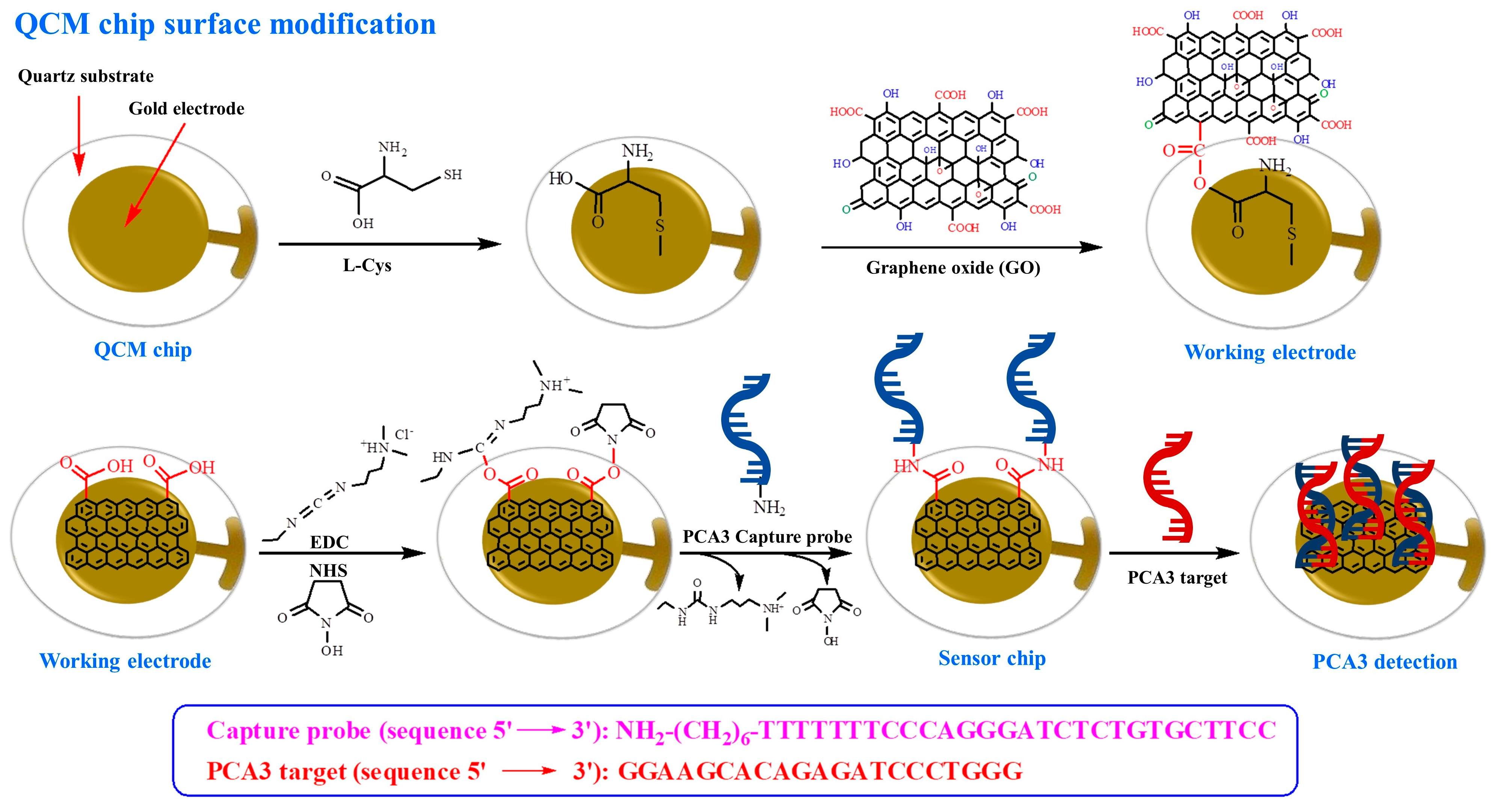Technologies 13 00544 g001