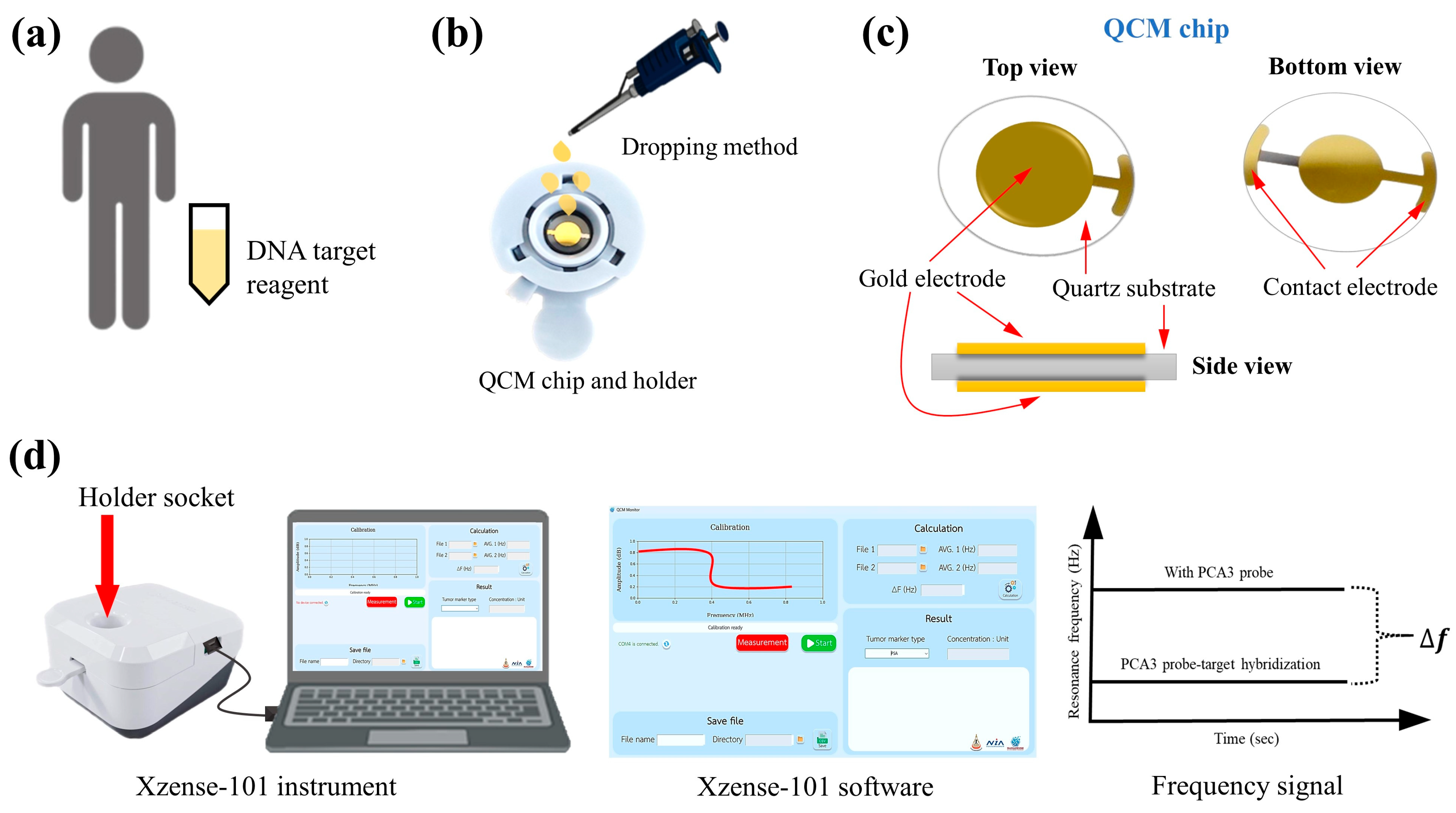 Technologies 13 00544 g002