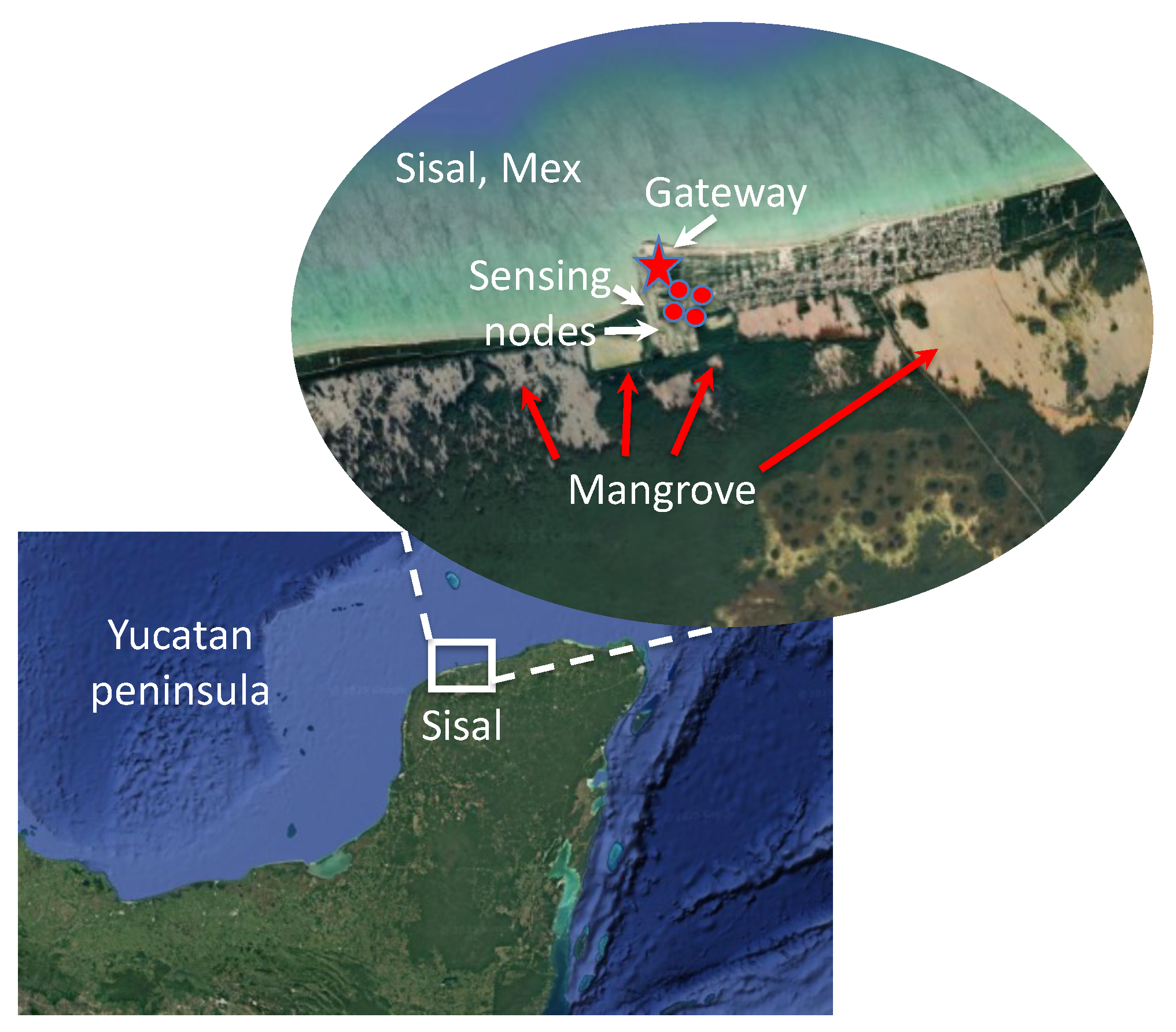 Technologies 13 00549 g003 Technologies 13 00549 g003