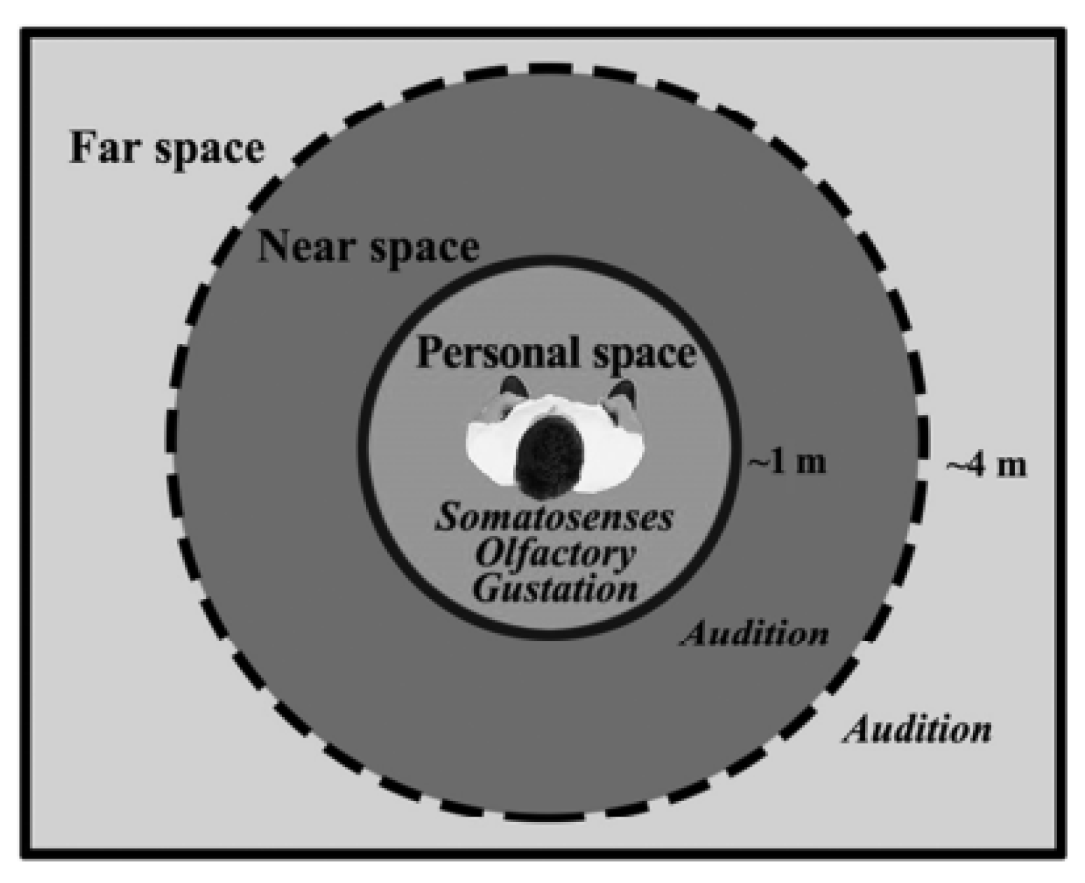 Technologies 13 00550 g002