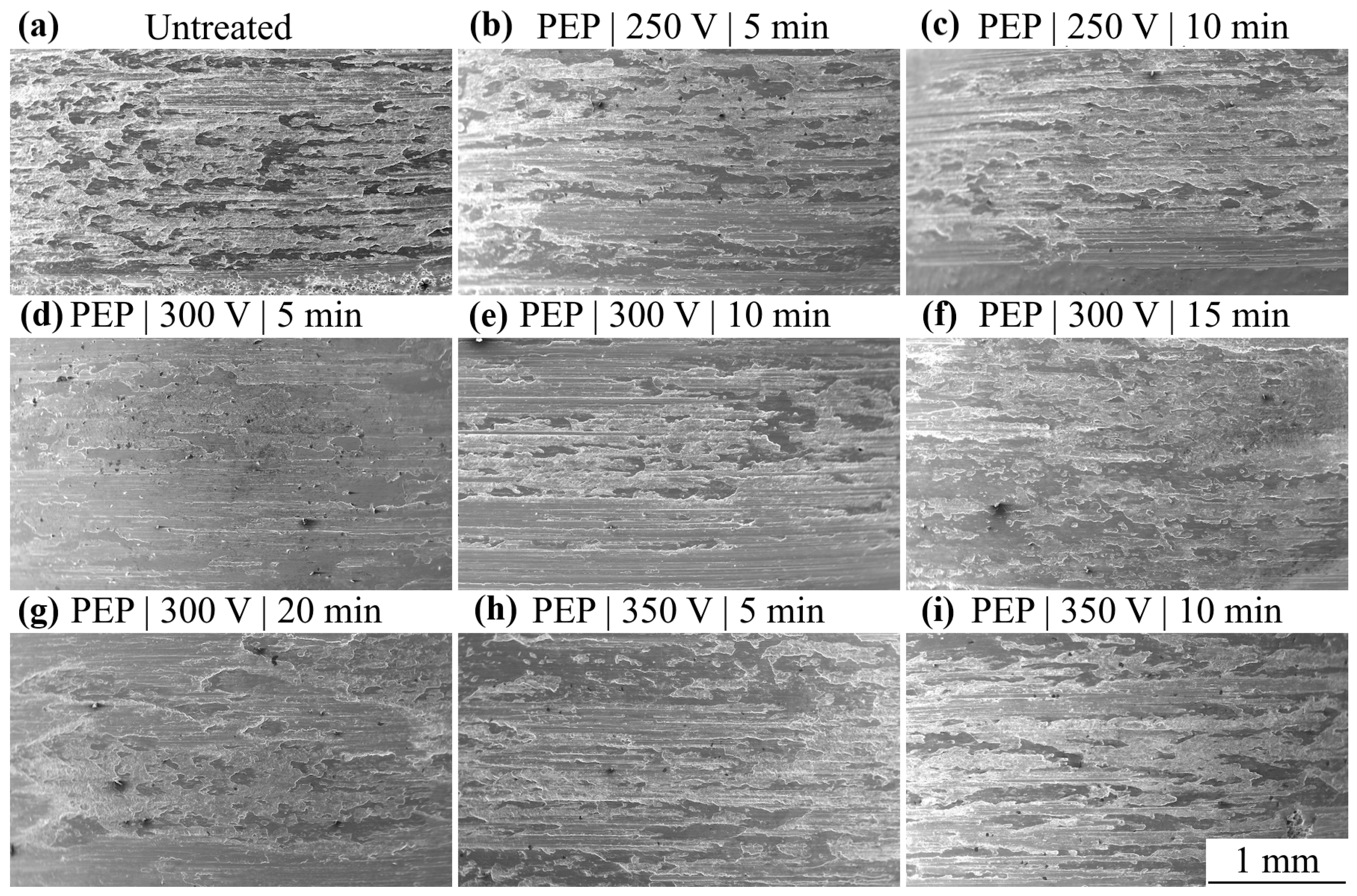 Technologies 13 00553 g009