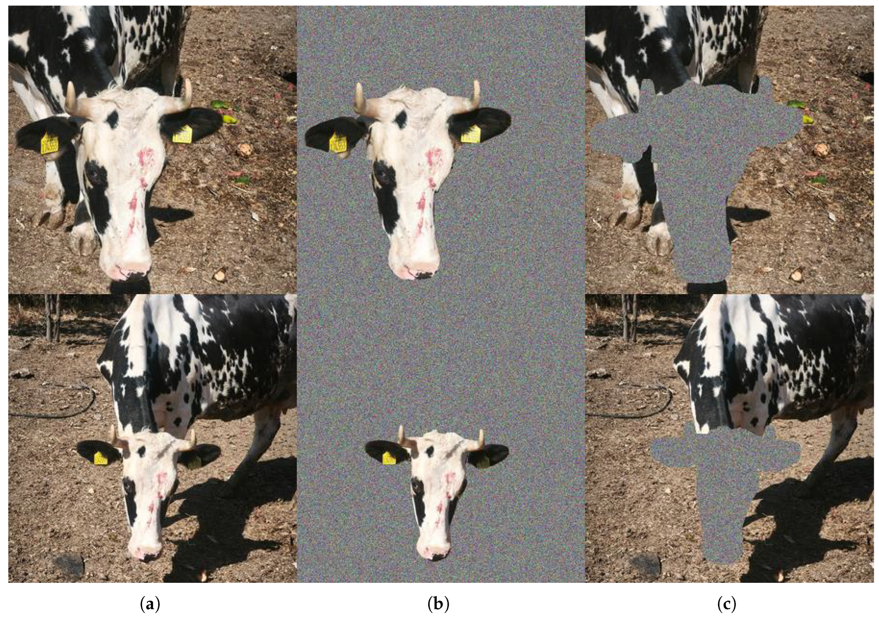 Technologies 14 00050 g002a