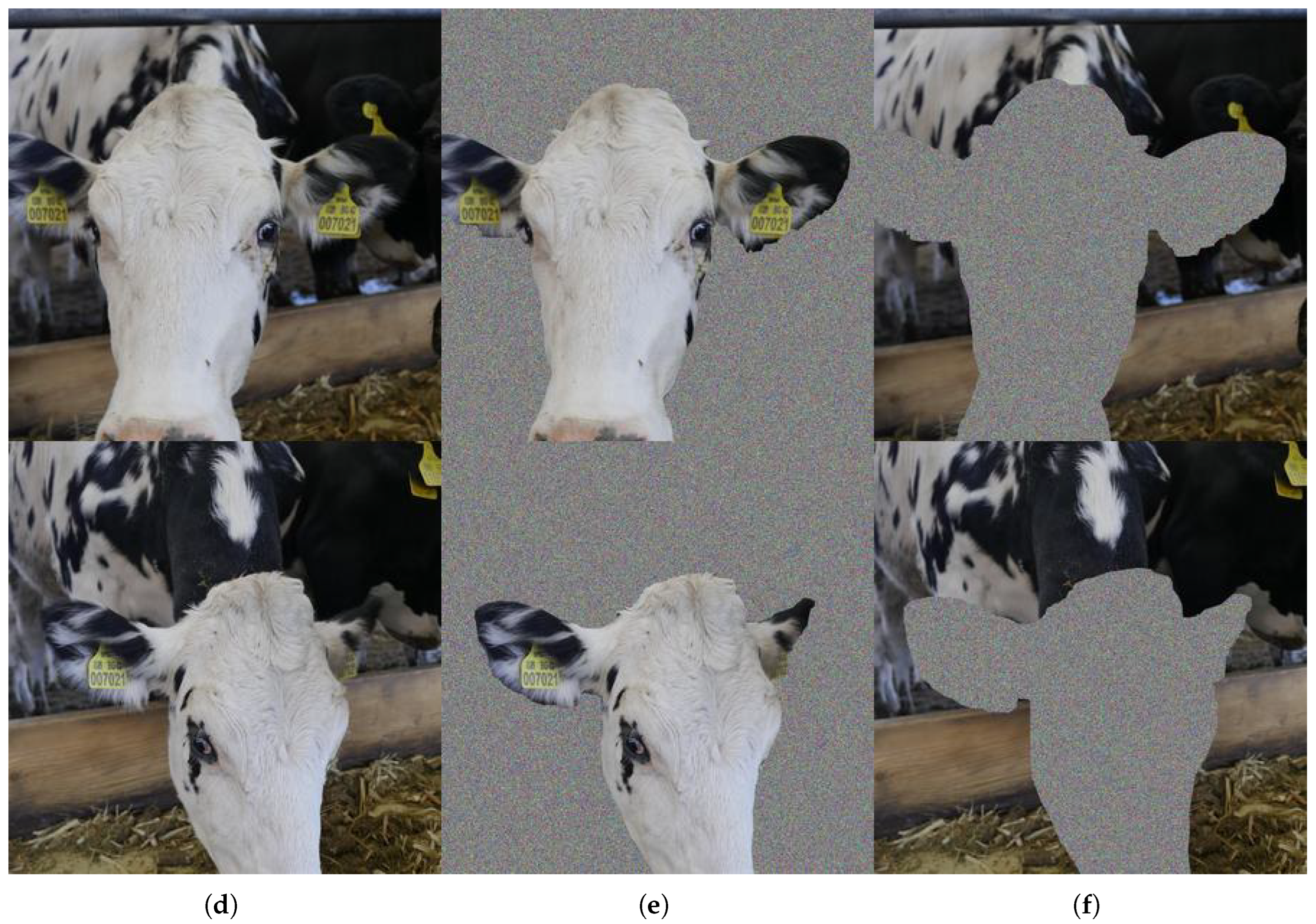 Technologies 14 00050 g002b