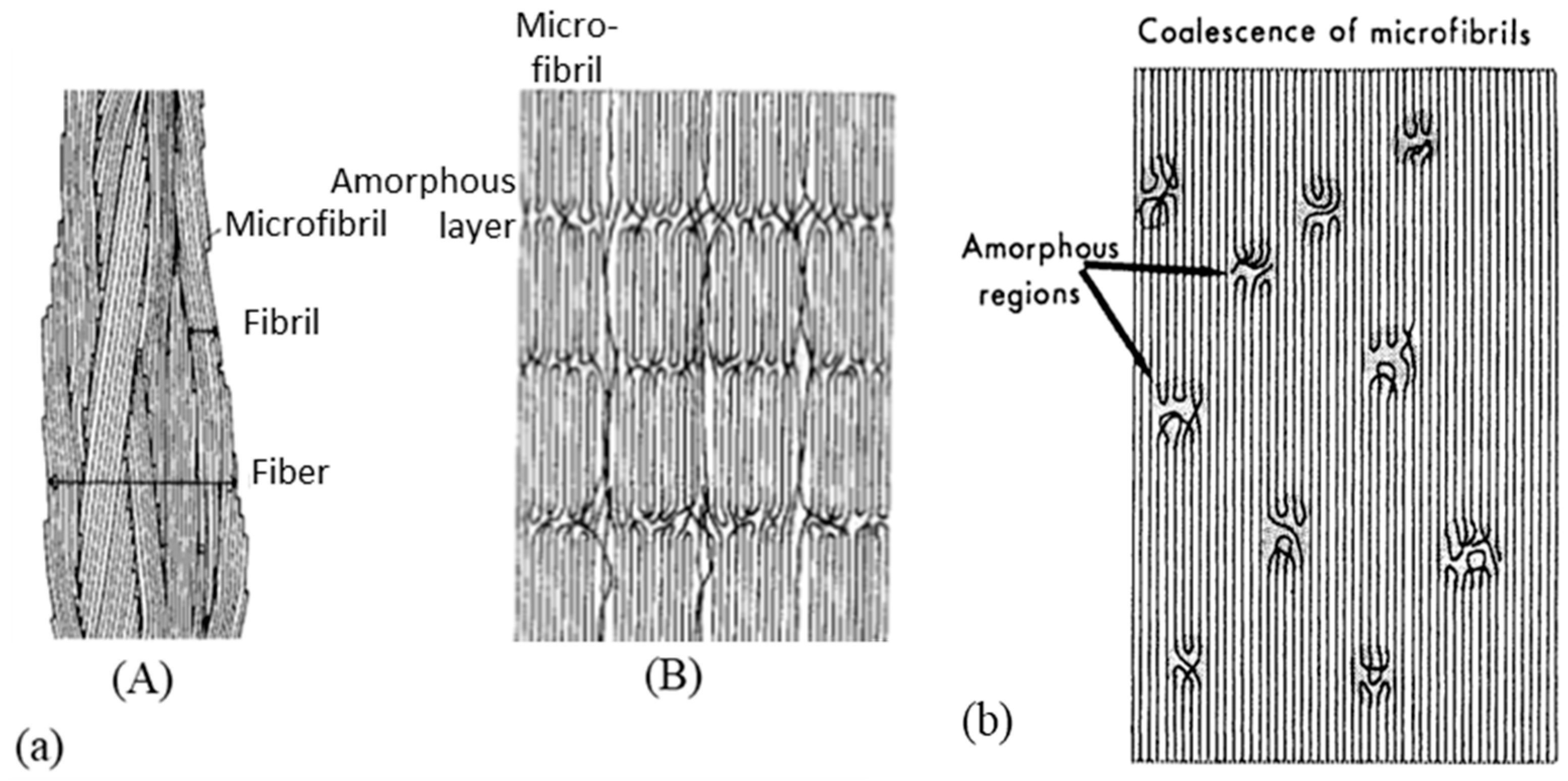 Textiles 01 00006 g003