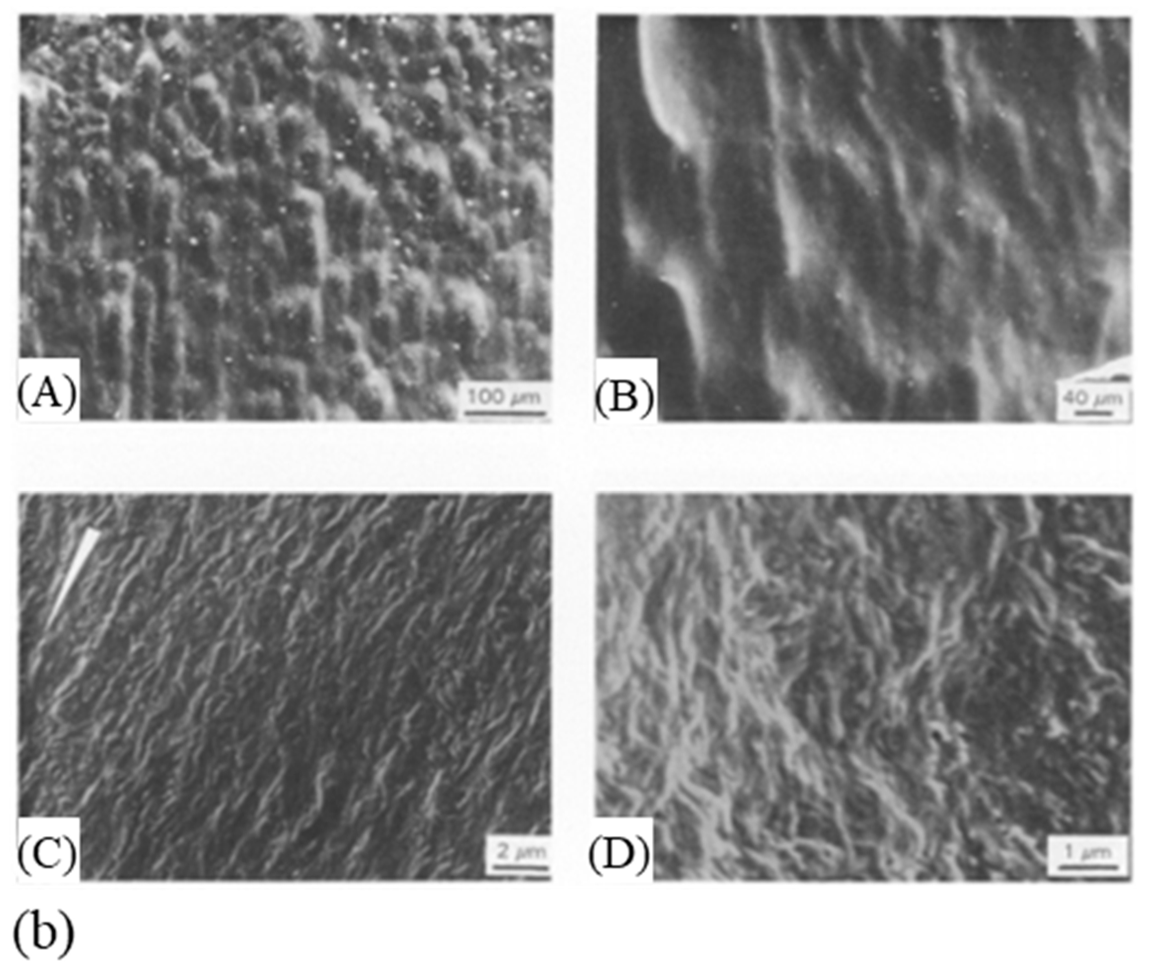 Textiles 01 00006 g006b