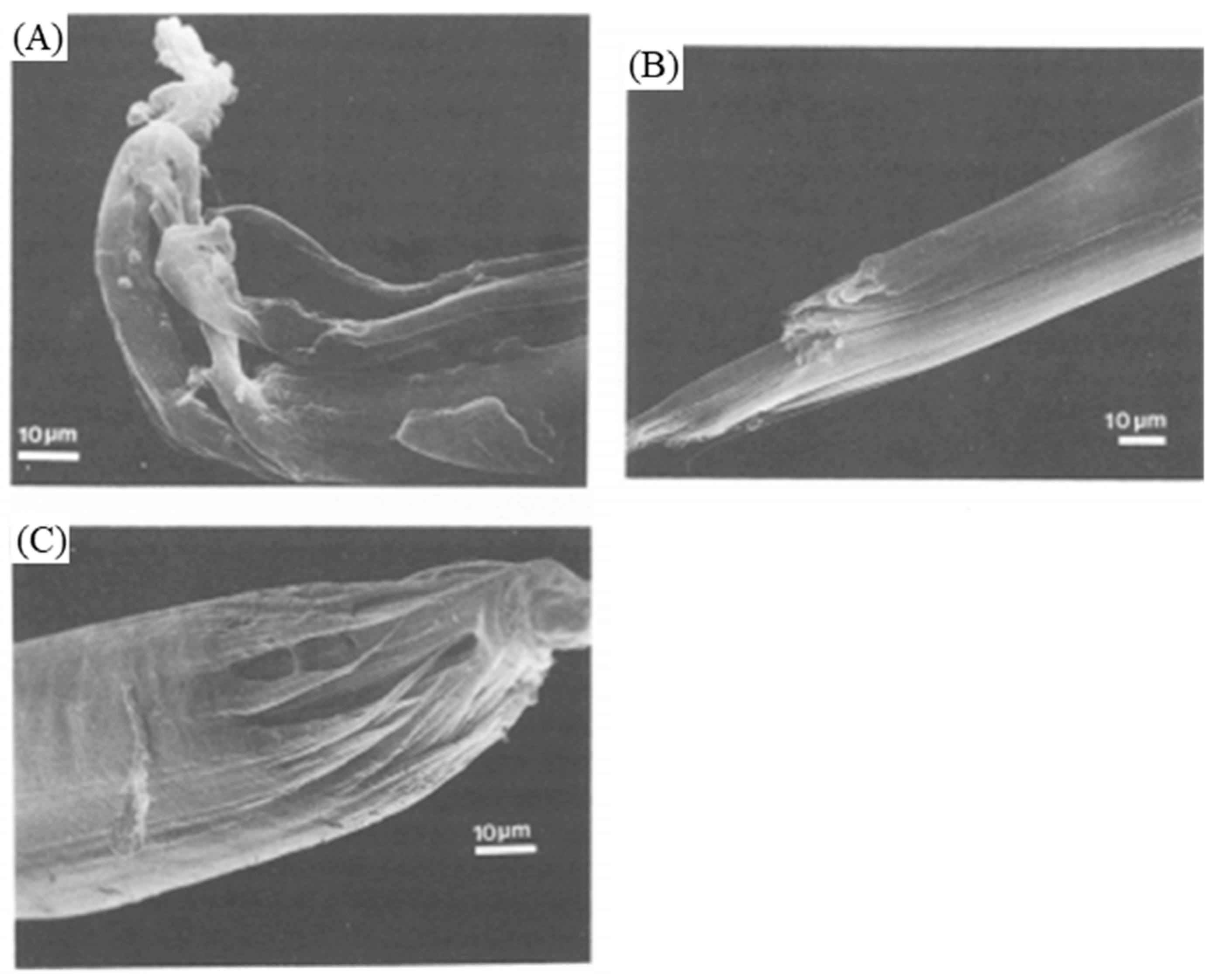 Textiles 01 00006 g031