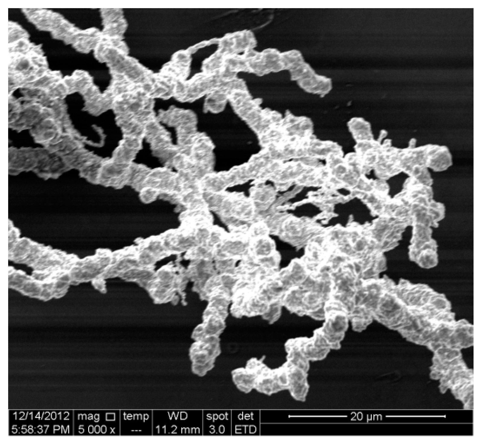 Textiles 01 00012 g011