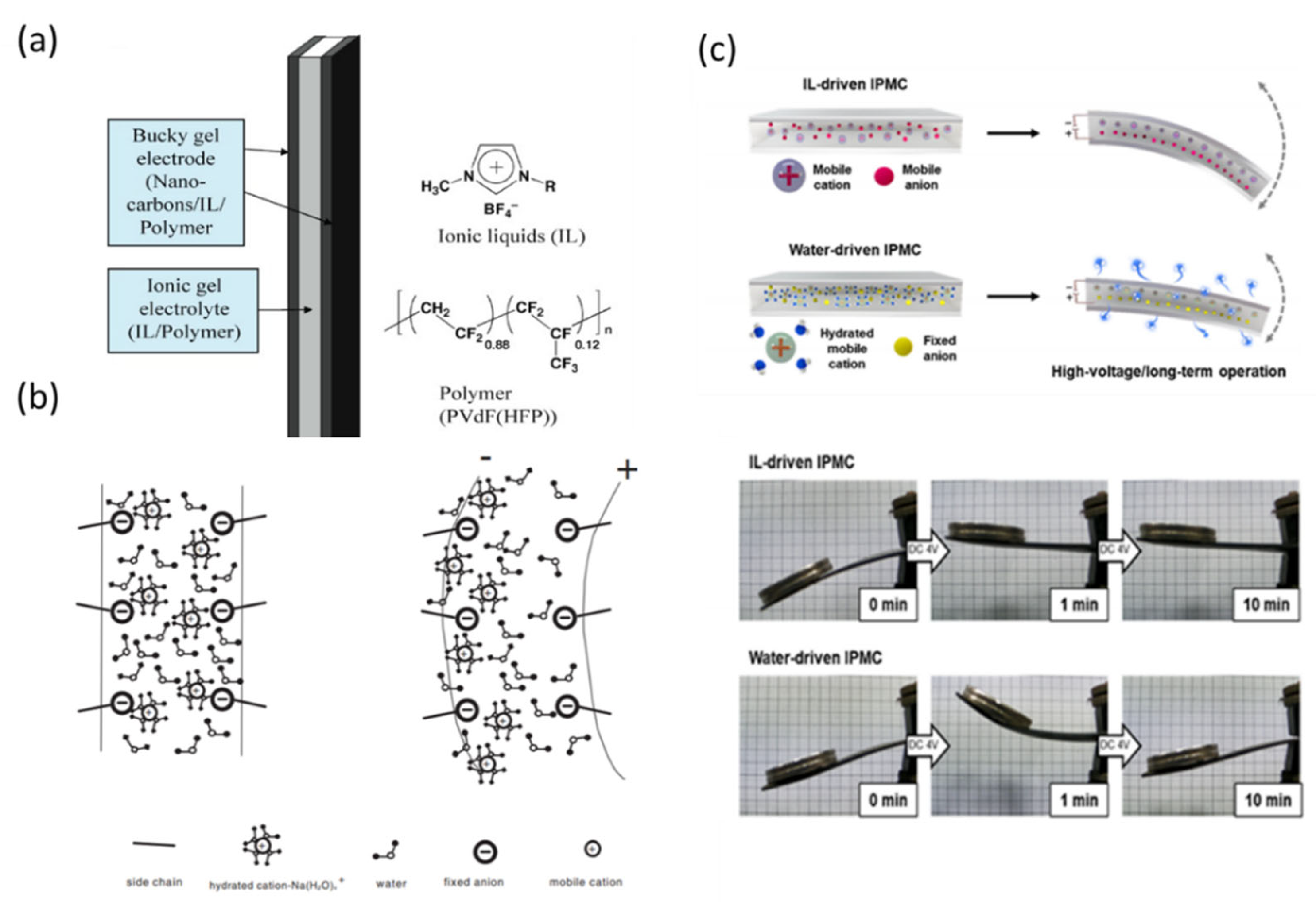 Textiles 01 00015 g014
