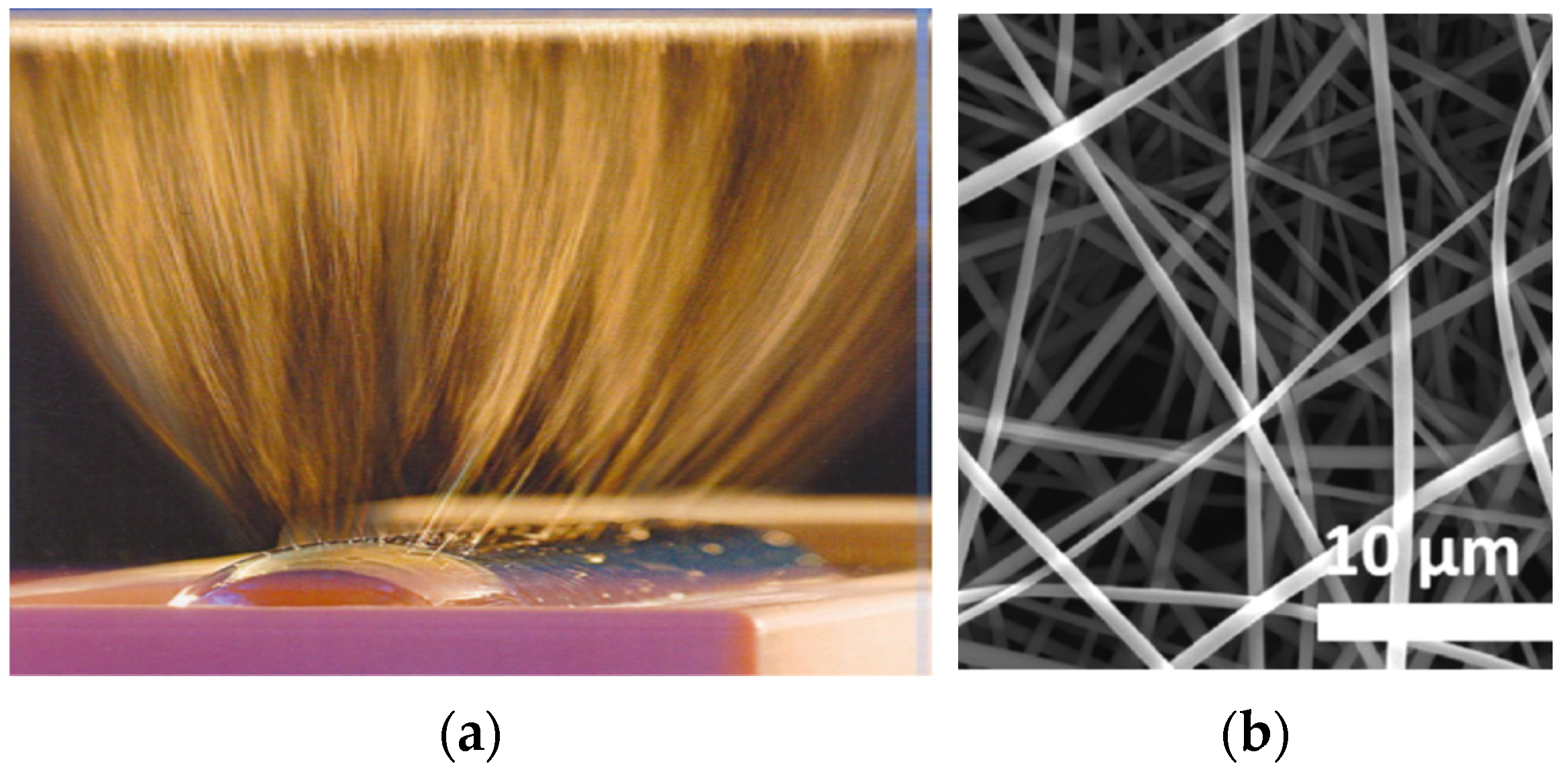 Textiles 01 00024 g016 550