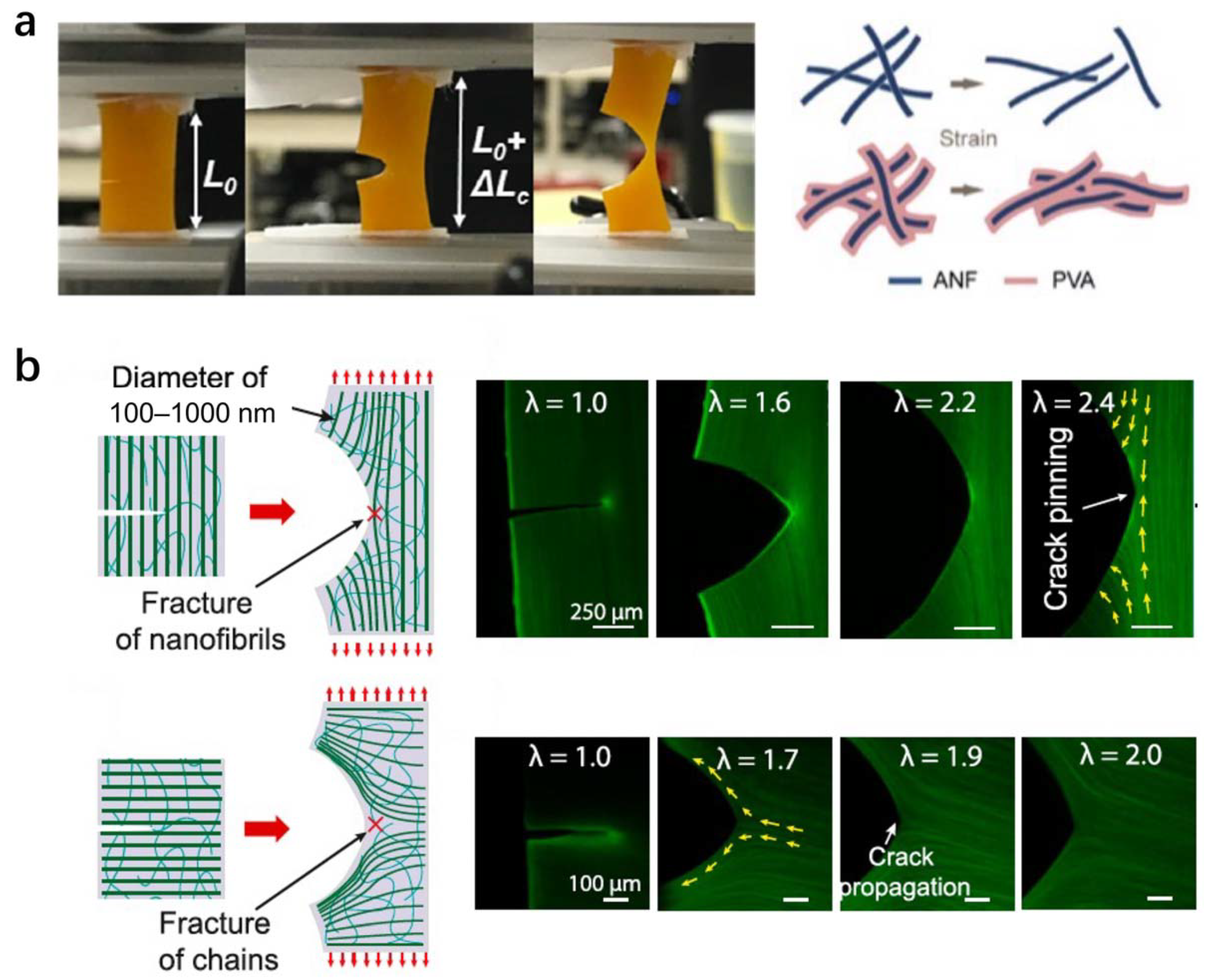 Textiles 01 00027 g013