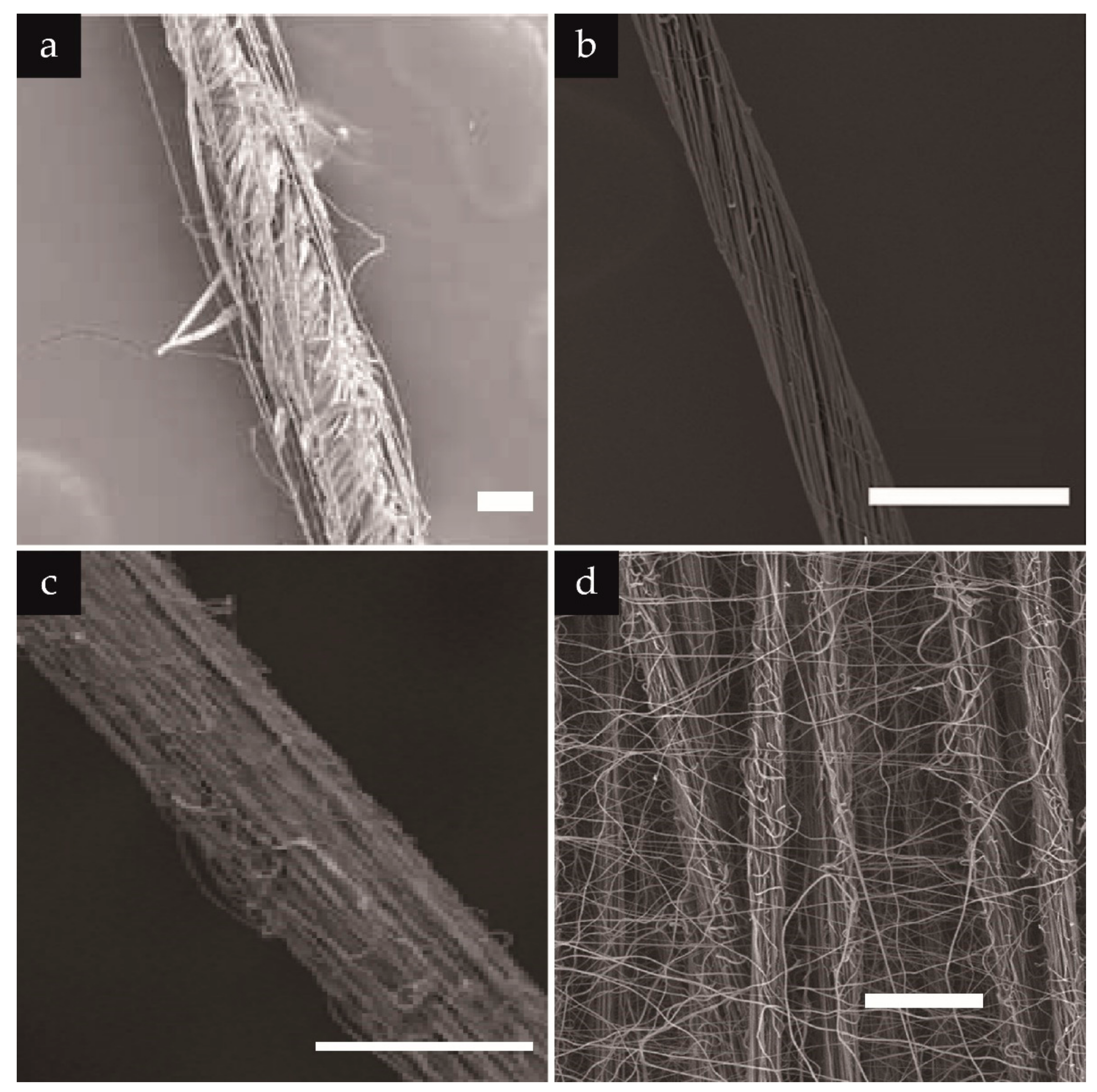 Textiles 02 00007 g005