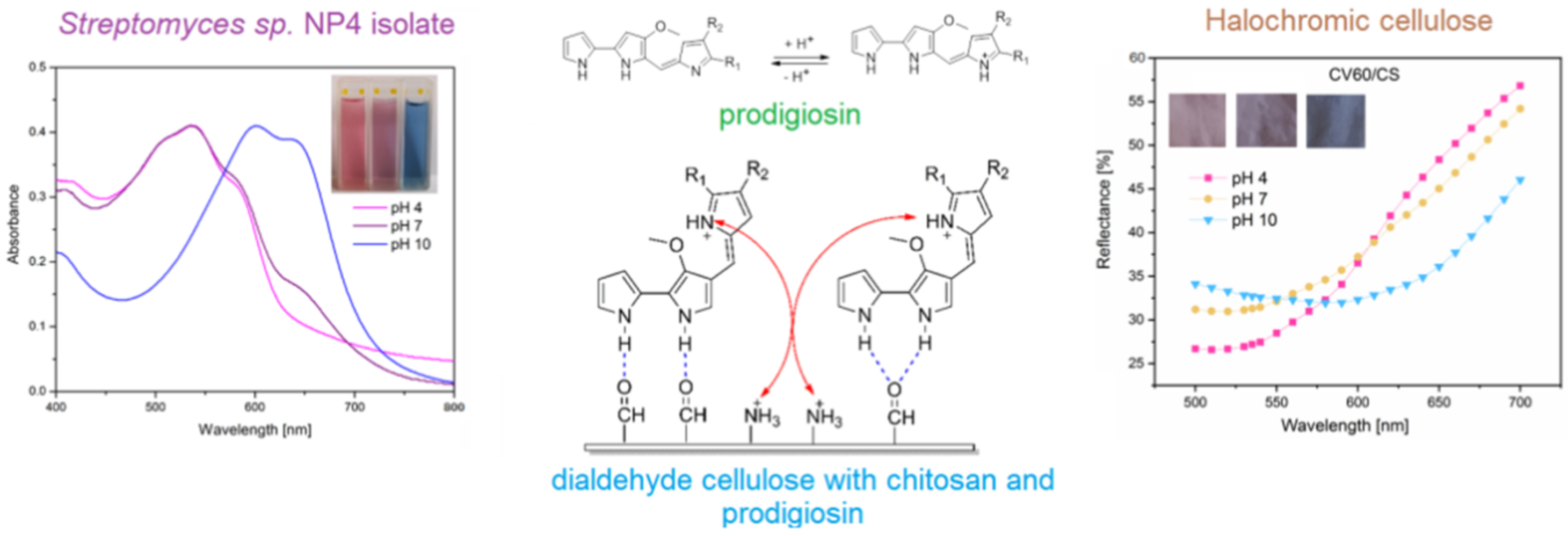 Textiles 02 00013 g011