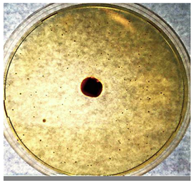 Textiles 02 00026 i003 Textiles 02 00026 i003