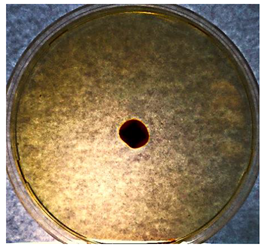 Textiles 02 00026 i005 Textiles 02 00026 i005