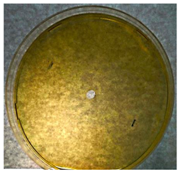 Textiles 02 00026 i006 Textiles 02 00026 i006